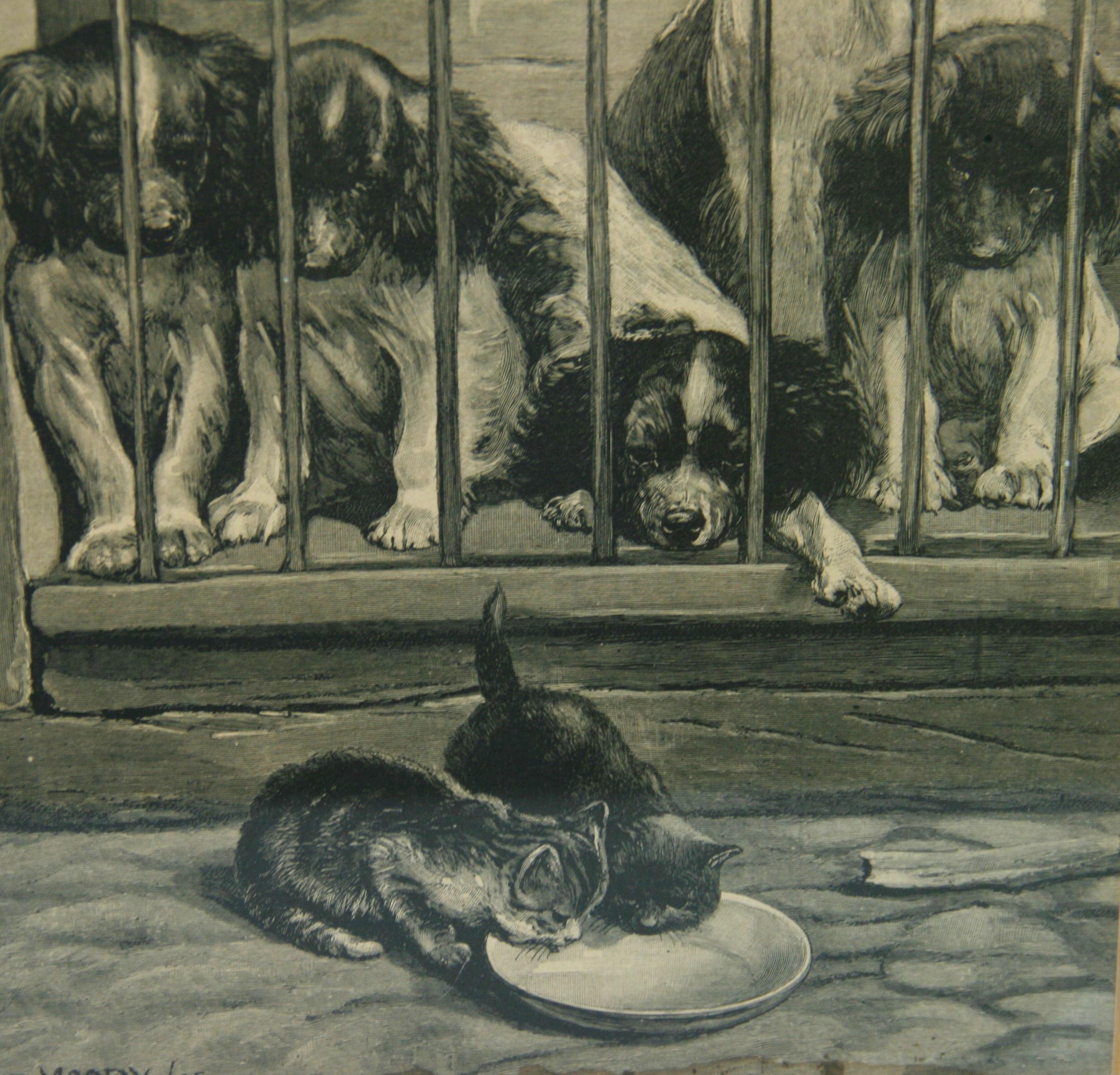 Antique Engraving Dogs Watching Cats Drink Milk  Cats Animal  1895 For Sale 1