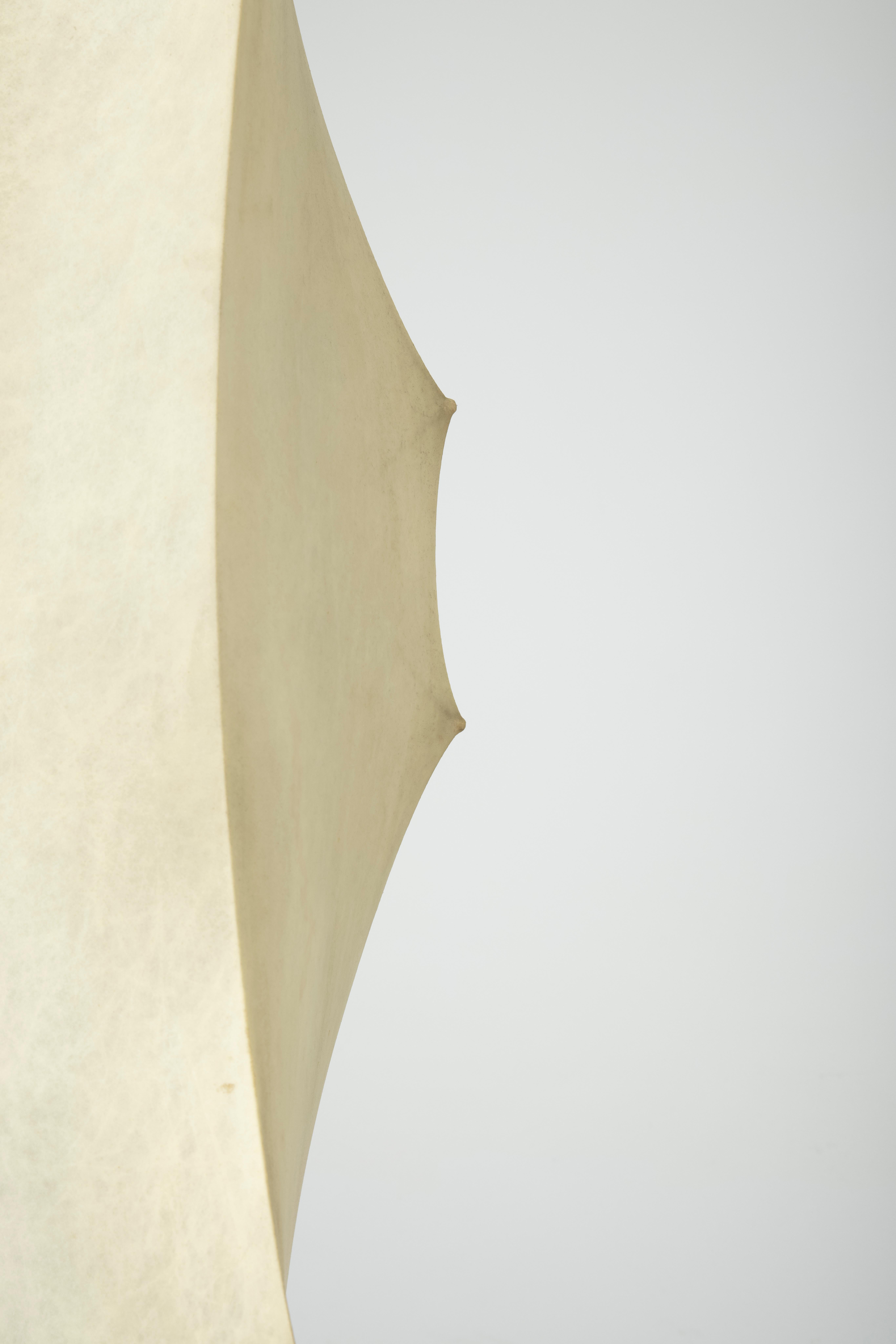 Steel Fantasma Floor Lamp by Tobia Scarpa for Flos, 1960s