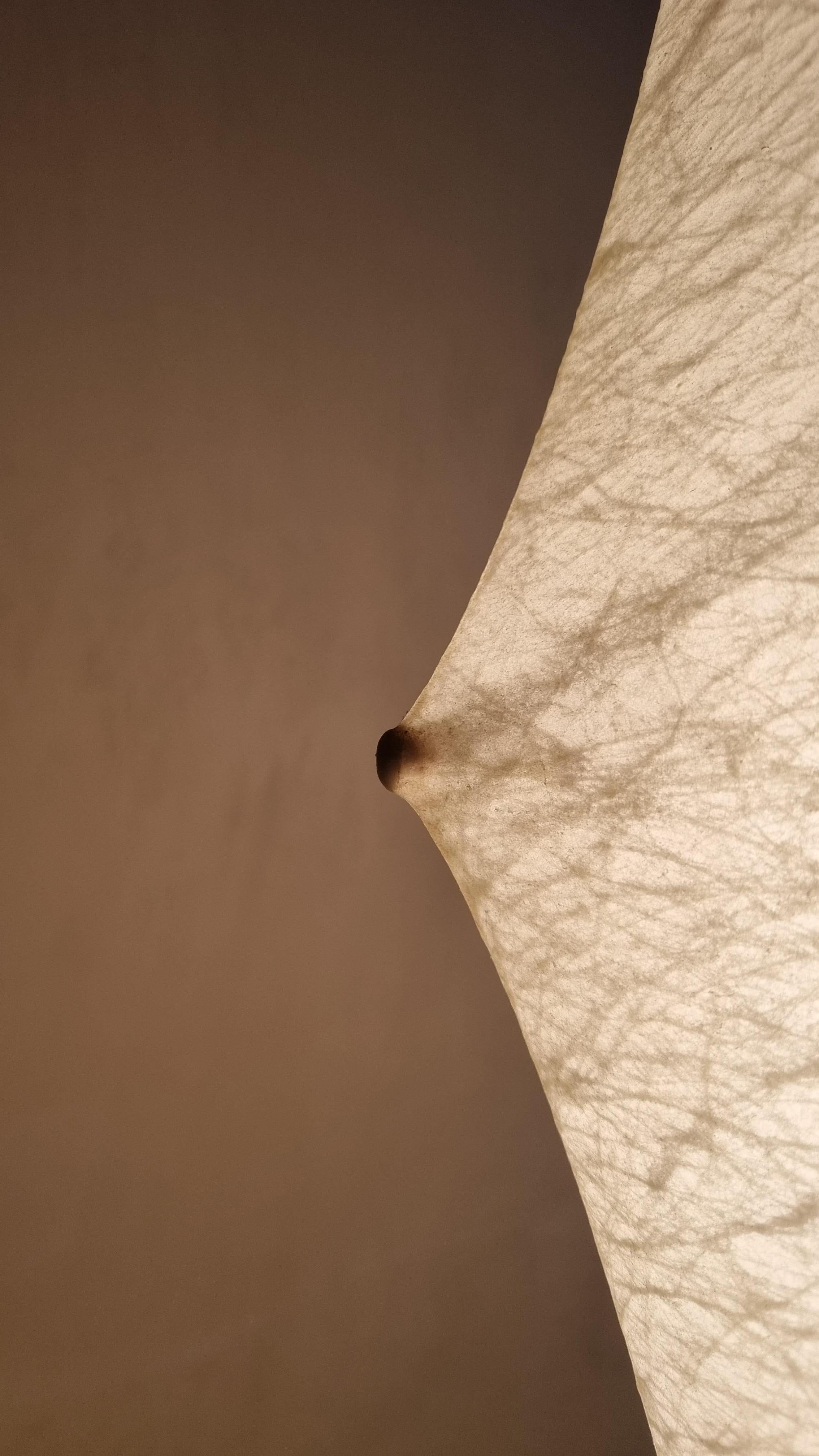 Fantasma Grande by Tobia Scarpa for Flos 1961 in vendita 1