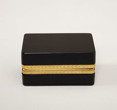 Fantastic 19th Century French Dore Bronze Mounted Black Crystal Hinged Box