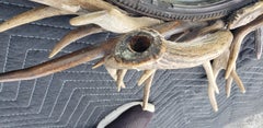 Fantastic Adirondack Natural Antler Mirror
