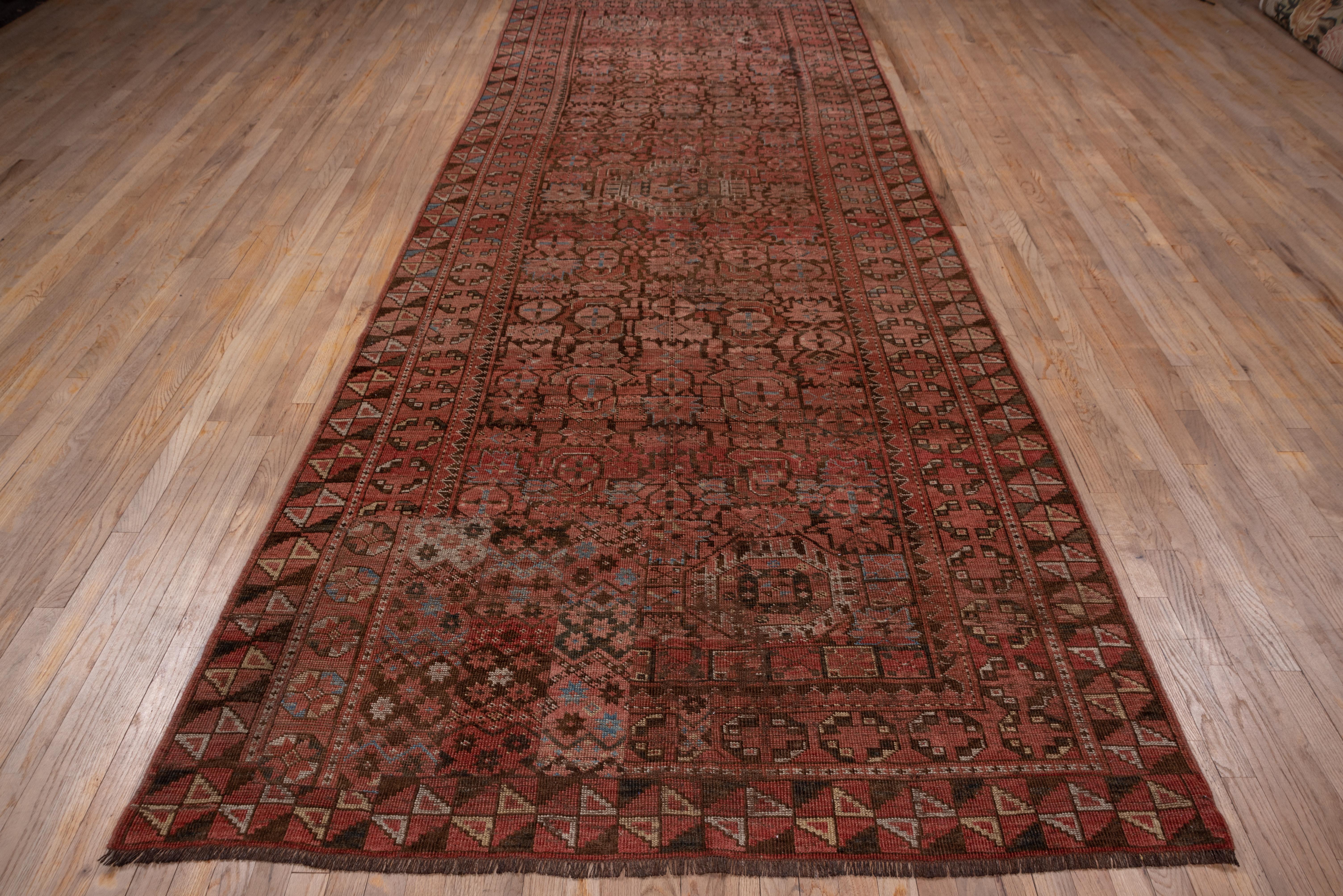 Tribal Fantastic Antique Beshir Gallery Carpet For Sale