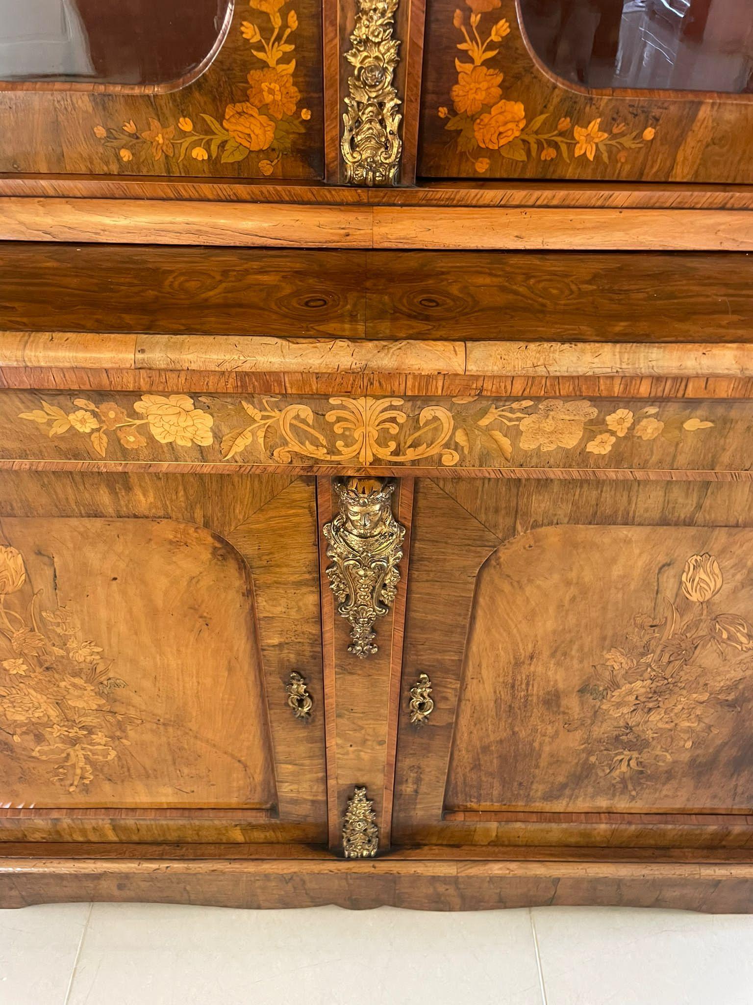 Antiker antiker Bücherregalschrank aus Wurzelnussholz mit Intarsien aus Goldbronze im Angebot 6