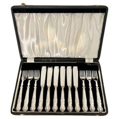 Fantastic antique Edwardian twelve piece cutlery set in the original box 