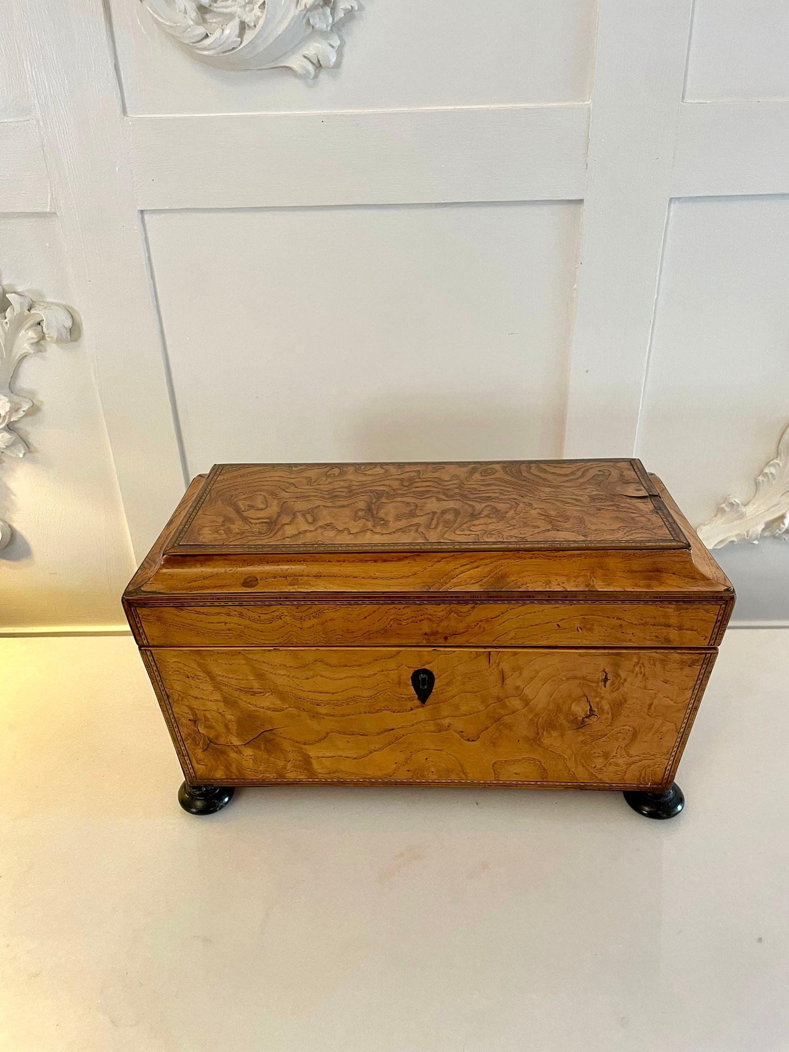 Fantastic Antique Regency Quality Burr Elm Tea Caddy 8