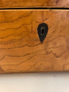 Fantastische antike Regency Qualität Burr Ulme Tee Caddy