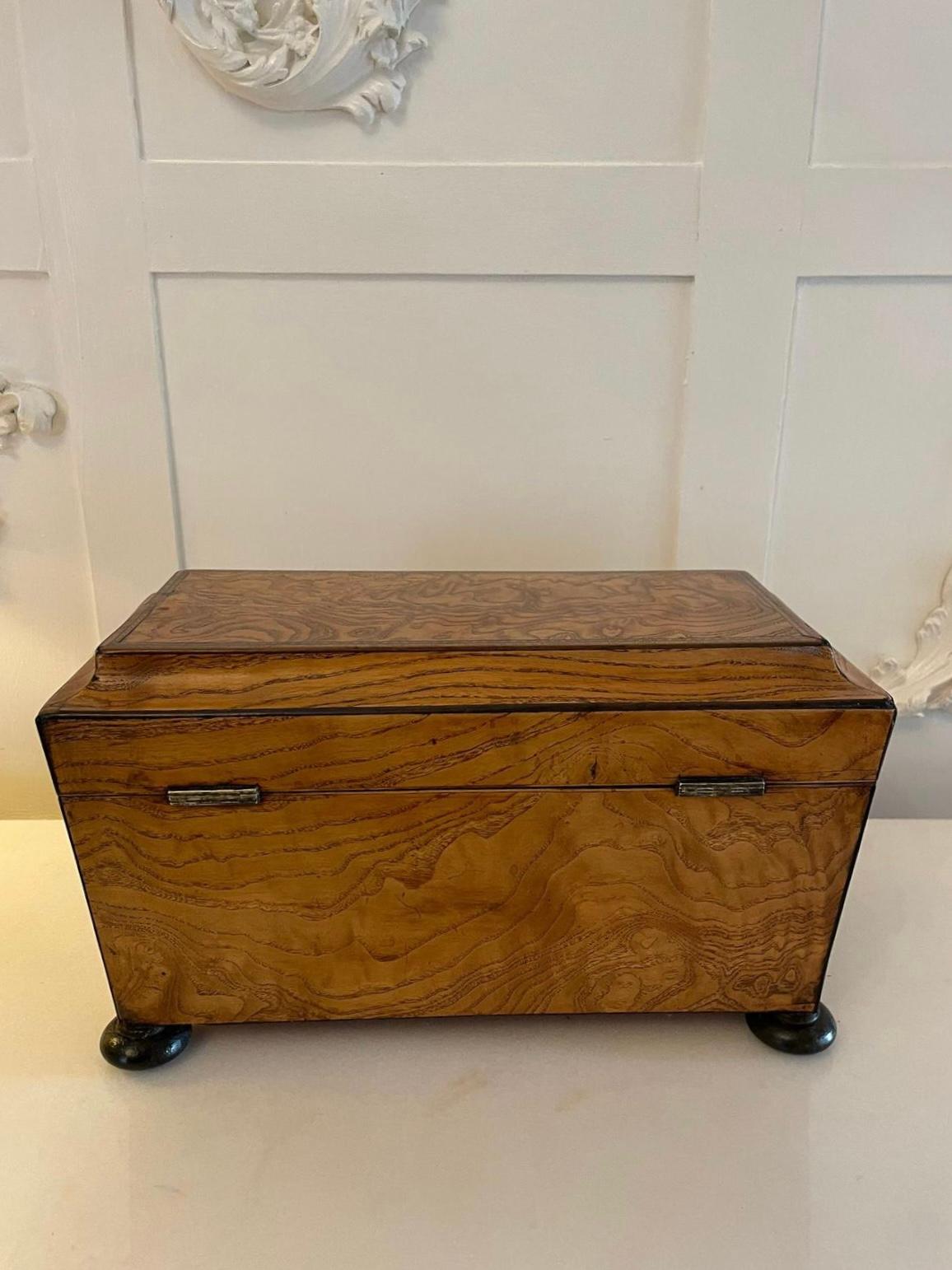 19th Century Fantastic Antique Regency Quality Burr Elm Tea Caddy