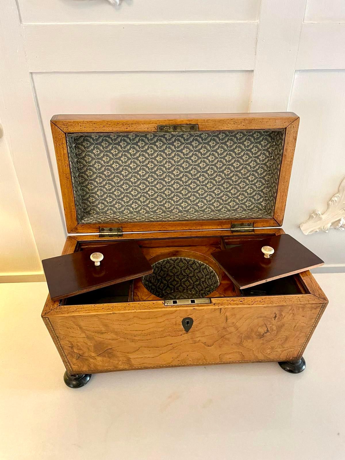 Fantastic Antique Regency Quality Burr Elm Tea Caddy 2