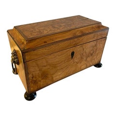 Fantastic Antique Regency Quality Burr Elm Tea Caddy