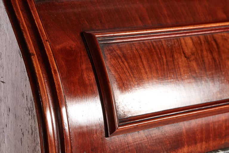 Fantastic Burr Walnut Dentist circa 1860 For Sale at 1stDibs