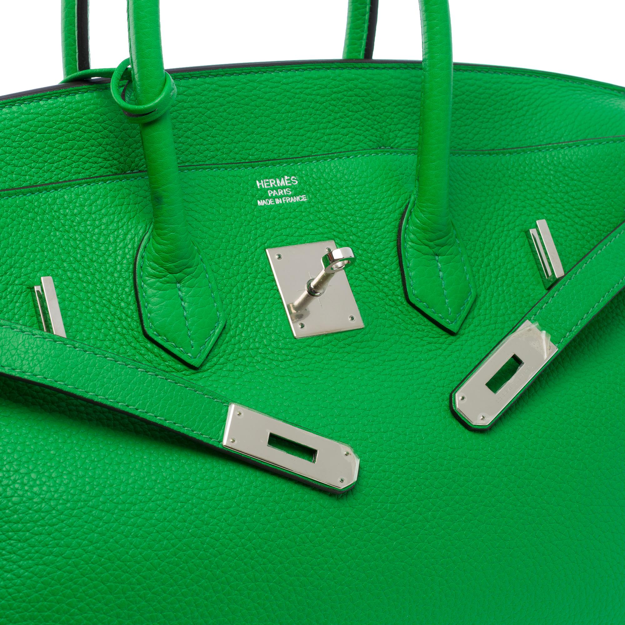 Fantastic Hermès Birkin 35 handbag in Green Bamboo Togo leather, SHW 2