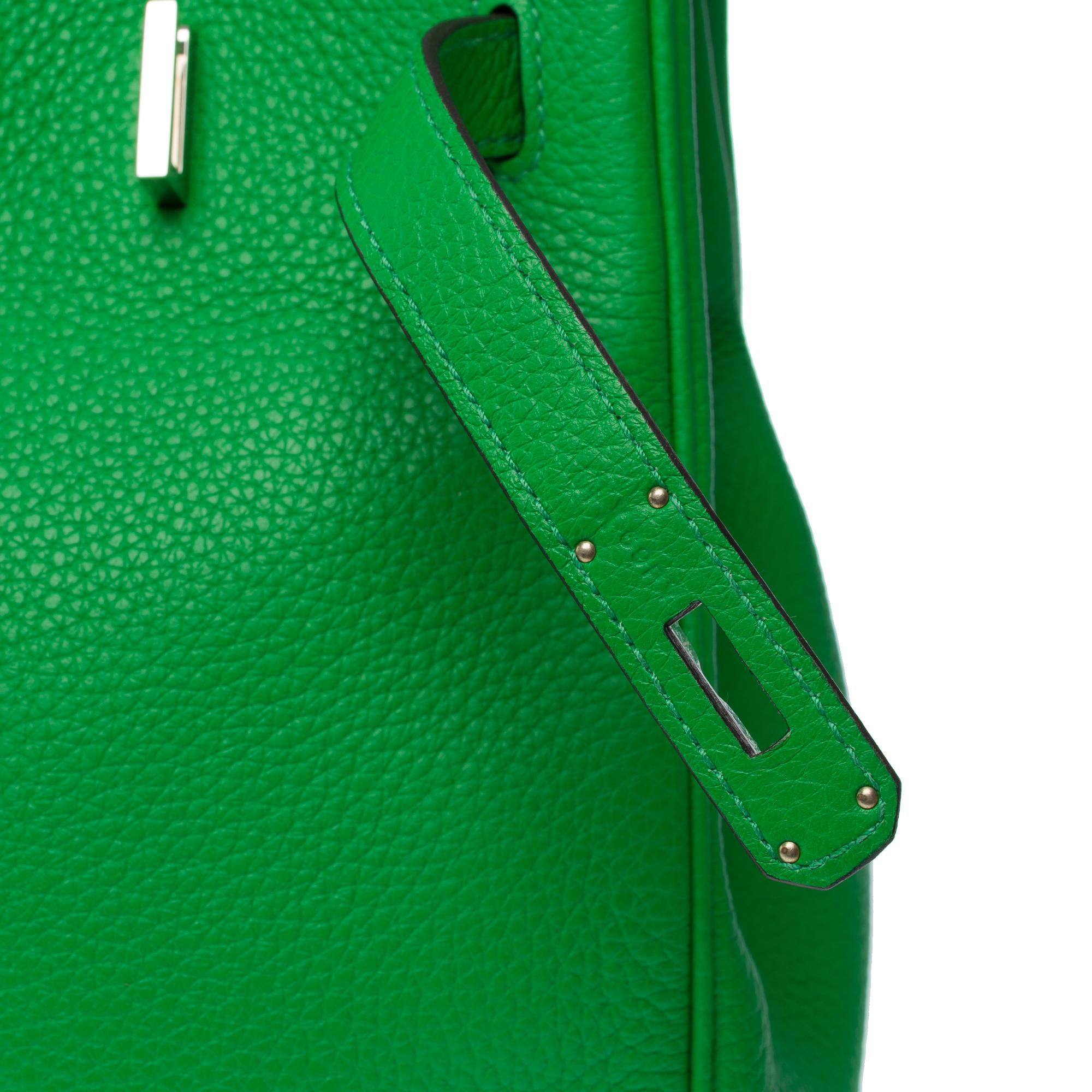 Fantastic Hermès Birkin 35 handbag in Green Bamboo Togo leather, SHW 3
