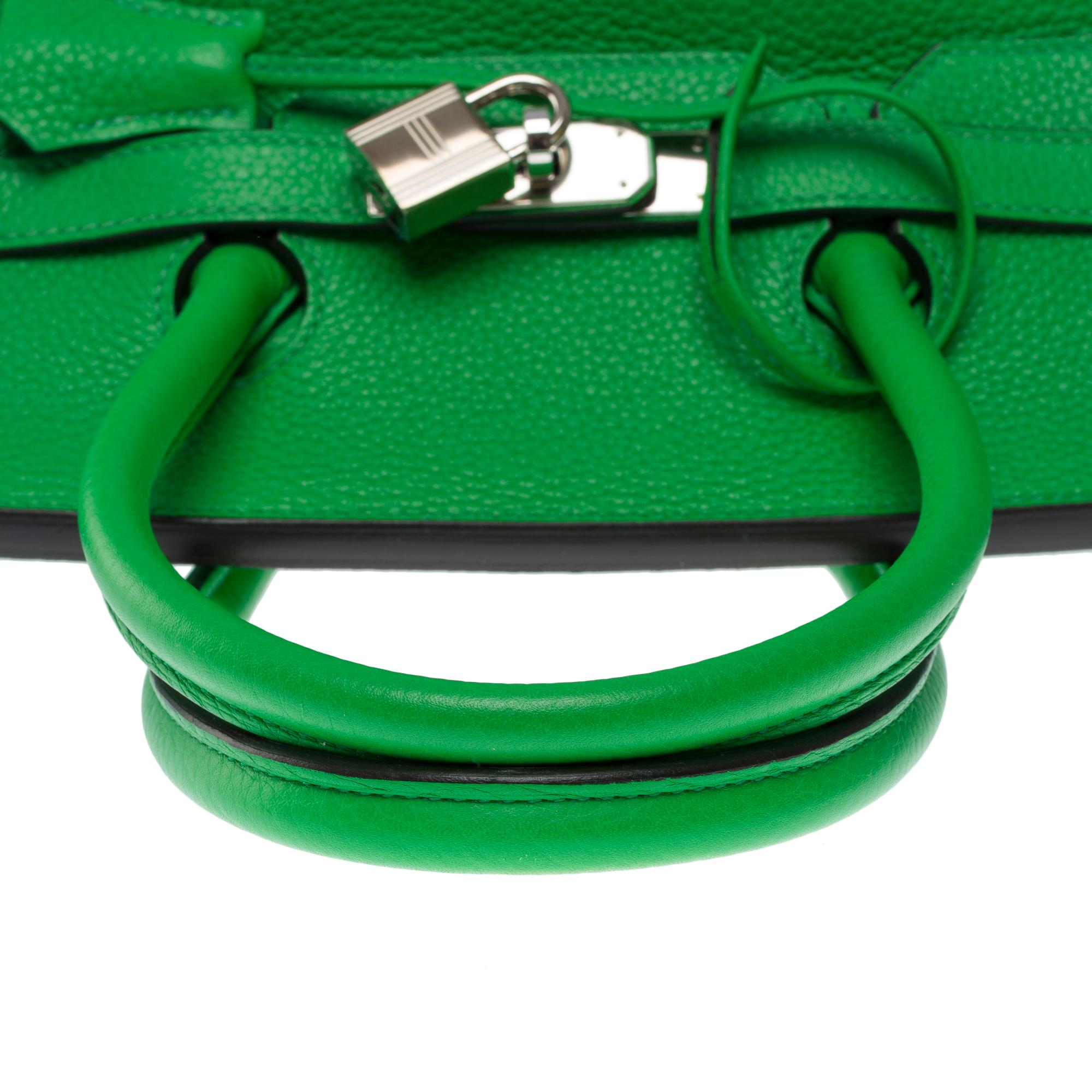 Fantastic Hermès Birkin 35 handbag in Green Bamboo Togo leather, SHW 5