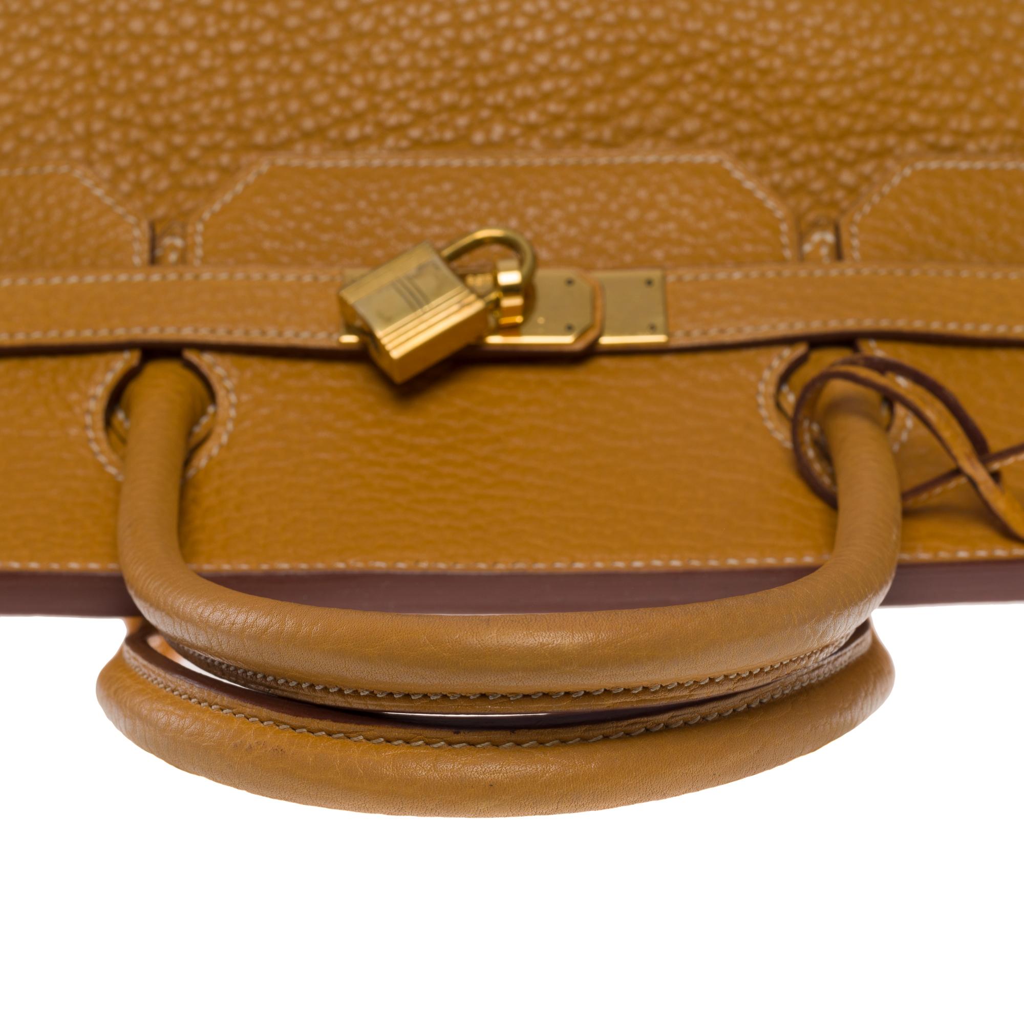 Fantastic Hermes Birkin 40 handbag in Gold Fjord leather, GHW 1