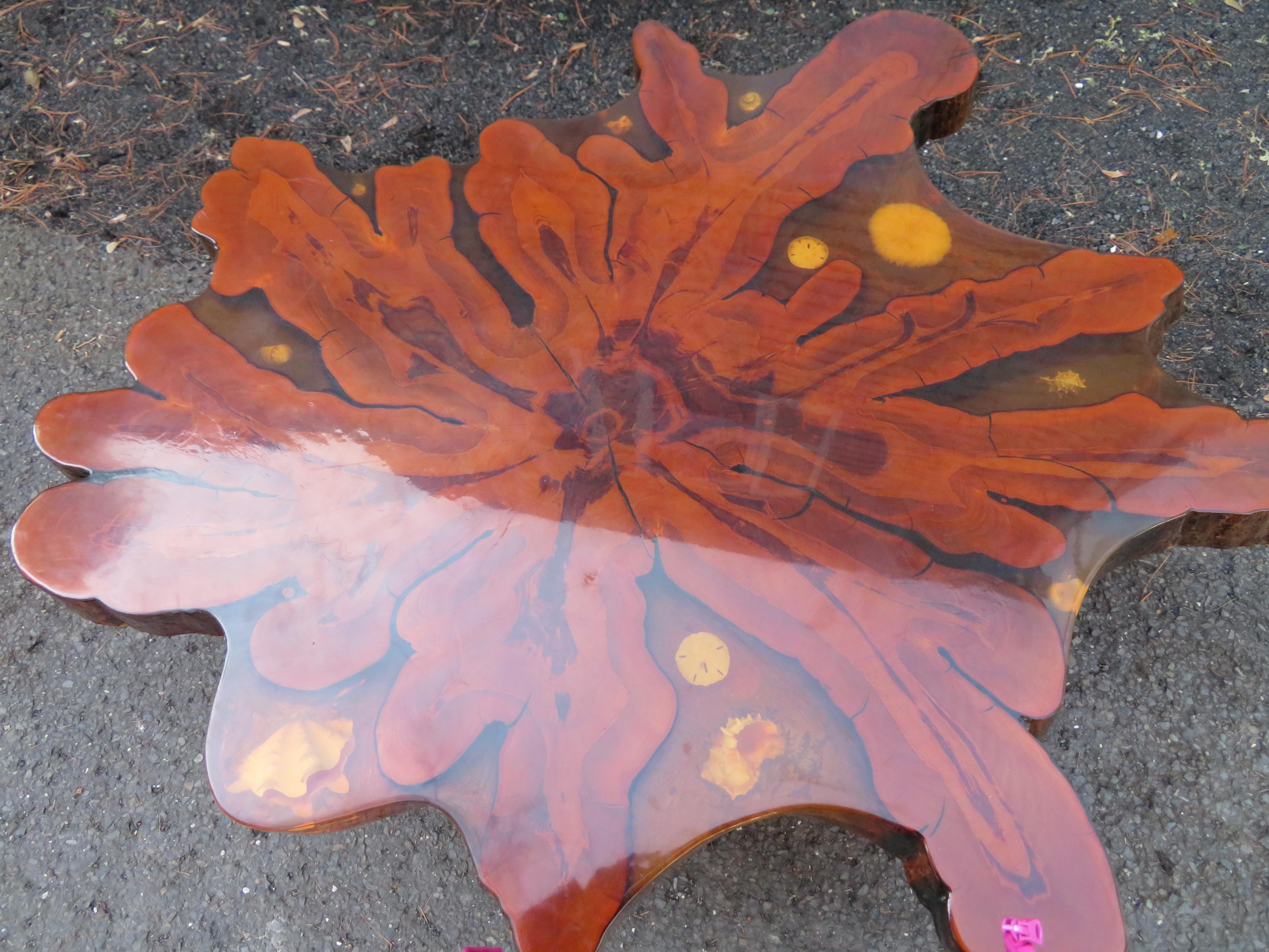 Mid-Century Modern Fantastic Nakashima Style Live Edge Cypress Coffee Table with Embedded Seashells For Sale