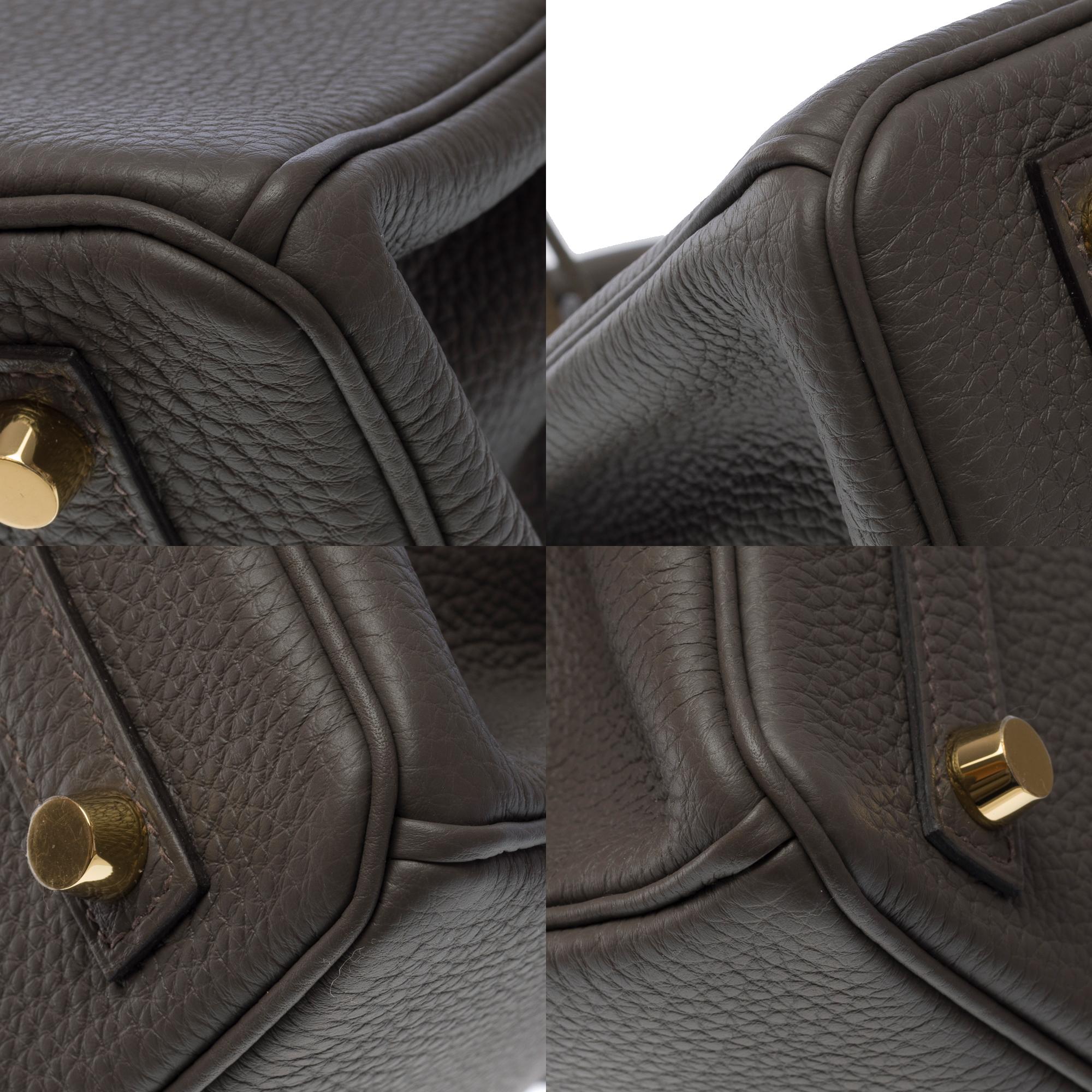 Fantastic New Hermes Birkin 25cm handbag in Etain Togo leather, GHW 7