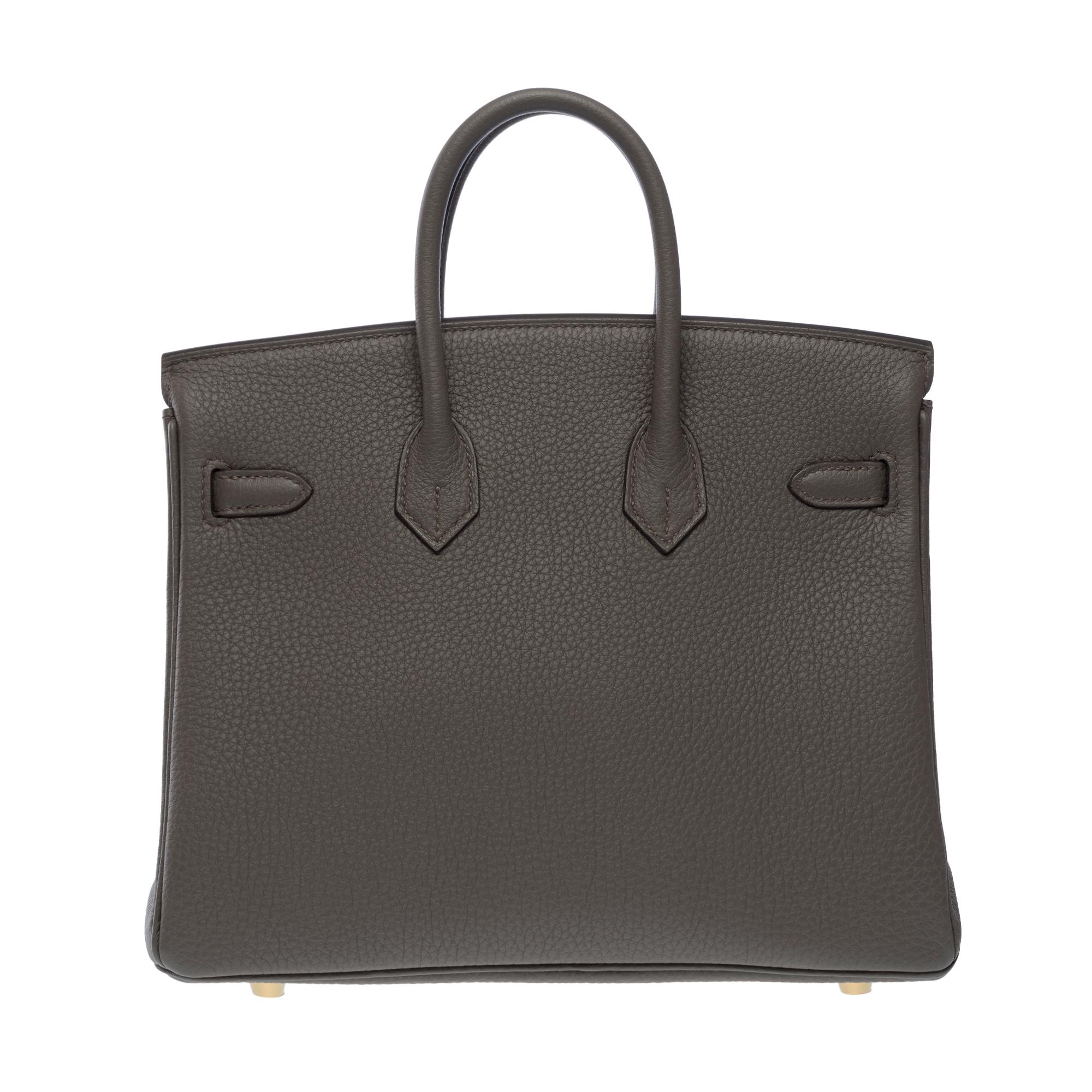 Fantastic New Hermes Birkin 25cm handbag in Etain Togo leather, GHW In New Condition In Paris, IDF