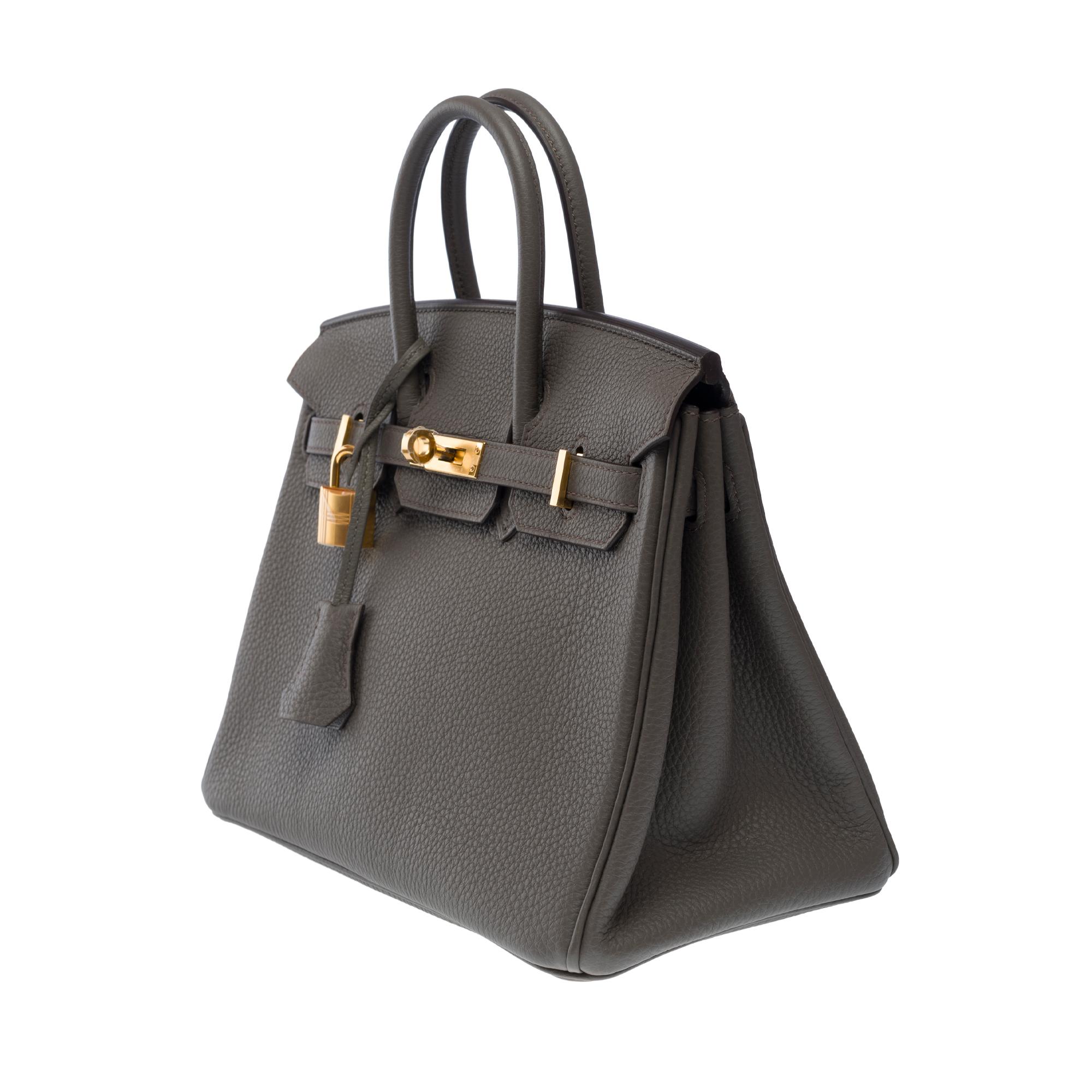 Women's Fantastic New Hermes Birkin 25cm handbag in Etain Togo leather, GHW