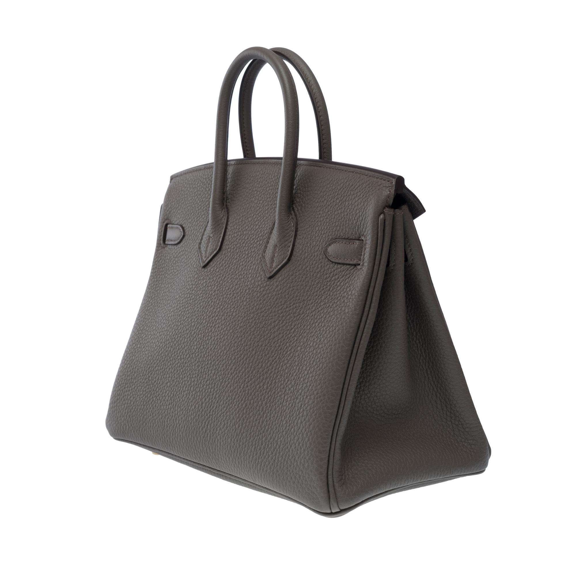 Fantastic New Hermes Birkin 25cm handbag in Etain Togo leather, GHW 1