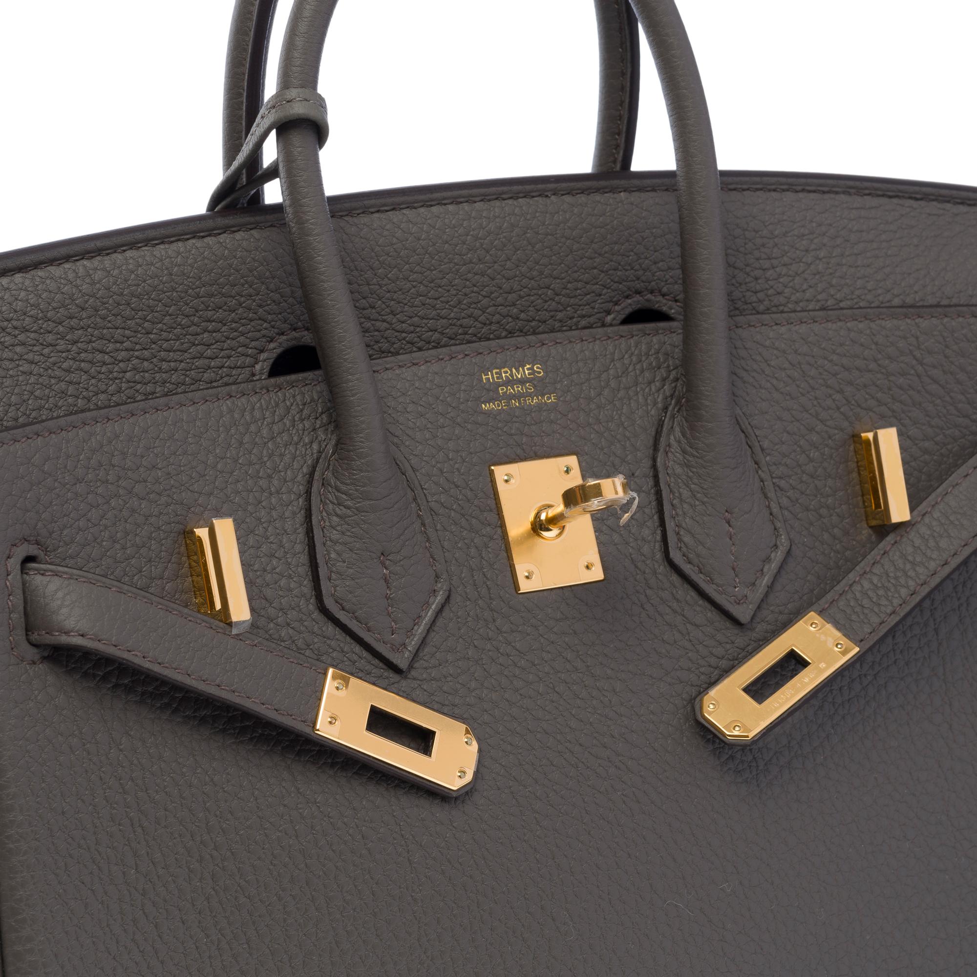 Fantastic New Hermes Birkin 25cm handbag in Etain Togo leather, GHW 2