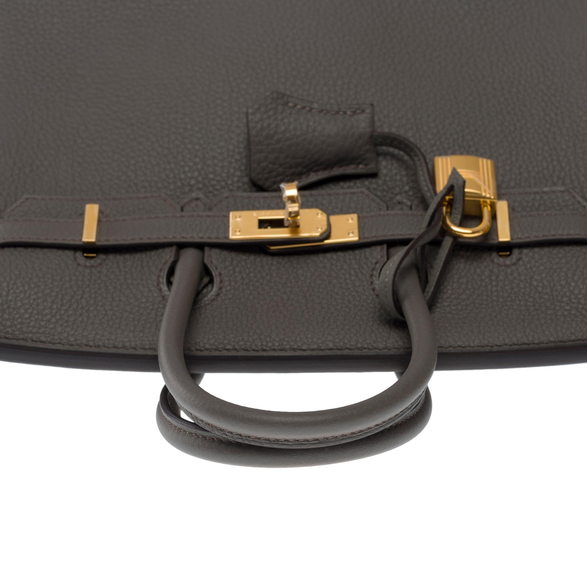 Fantastic New Hermes Birkin 25cm handbag in Etain Togo leather, GHW 5