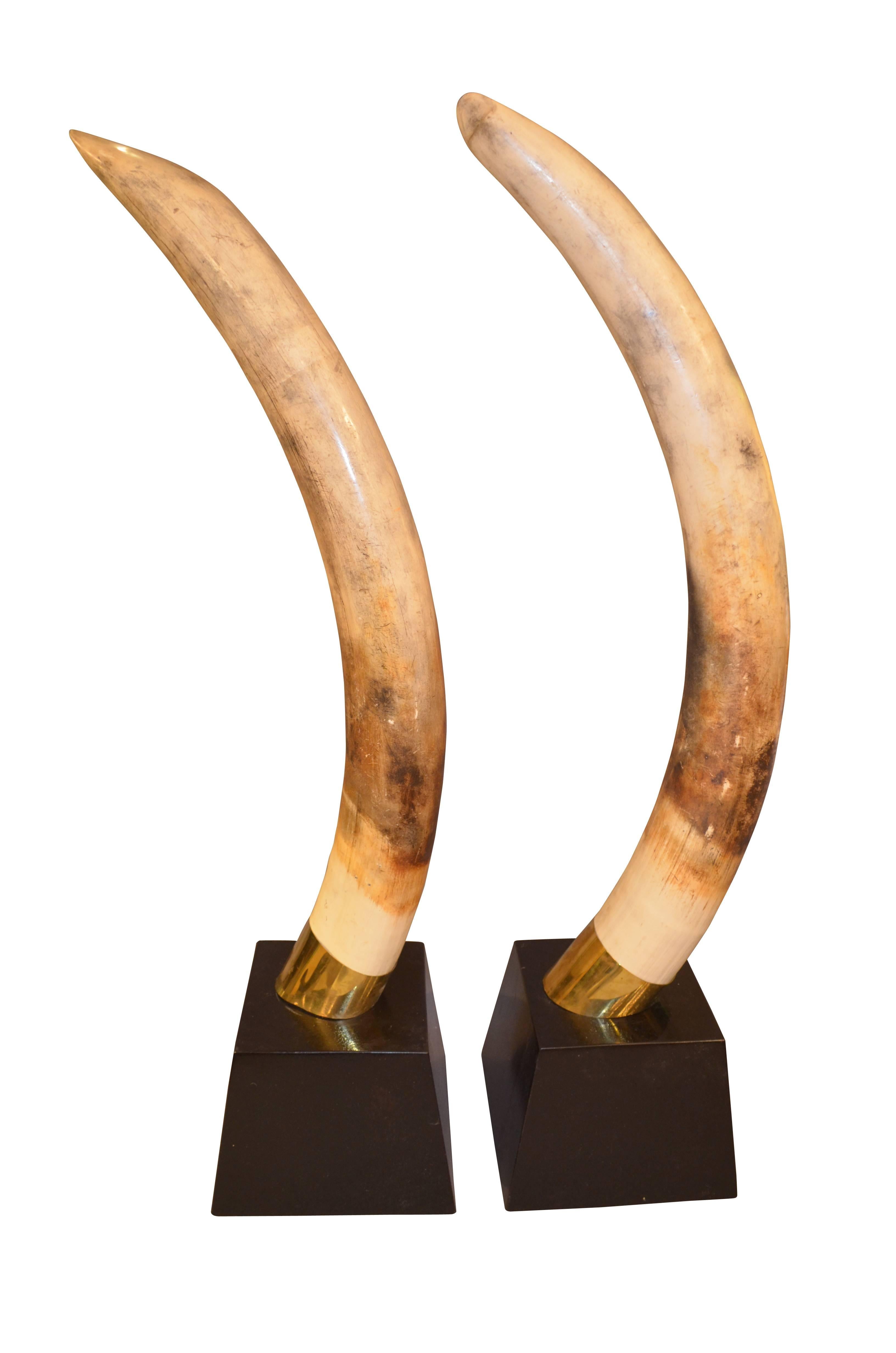 faux elephant tusks