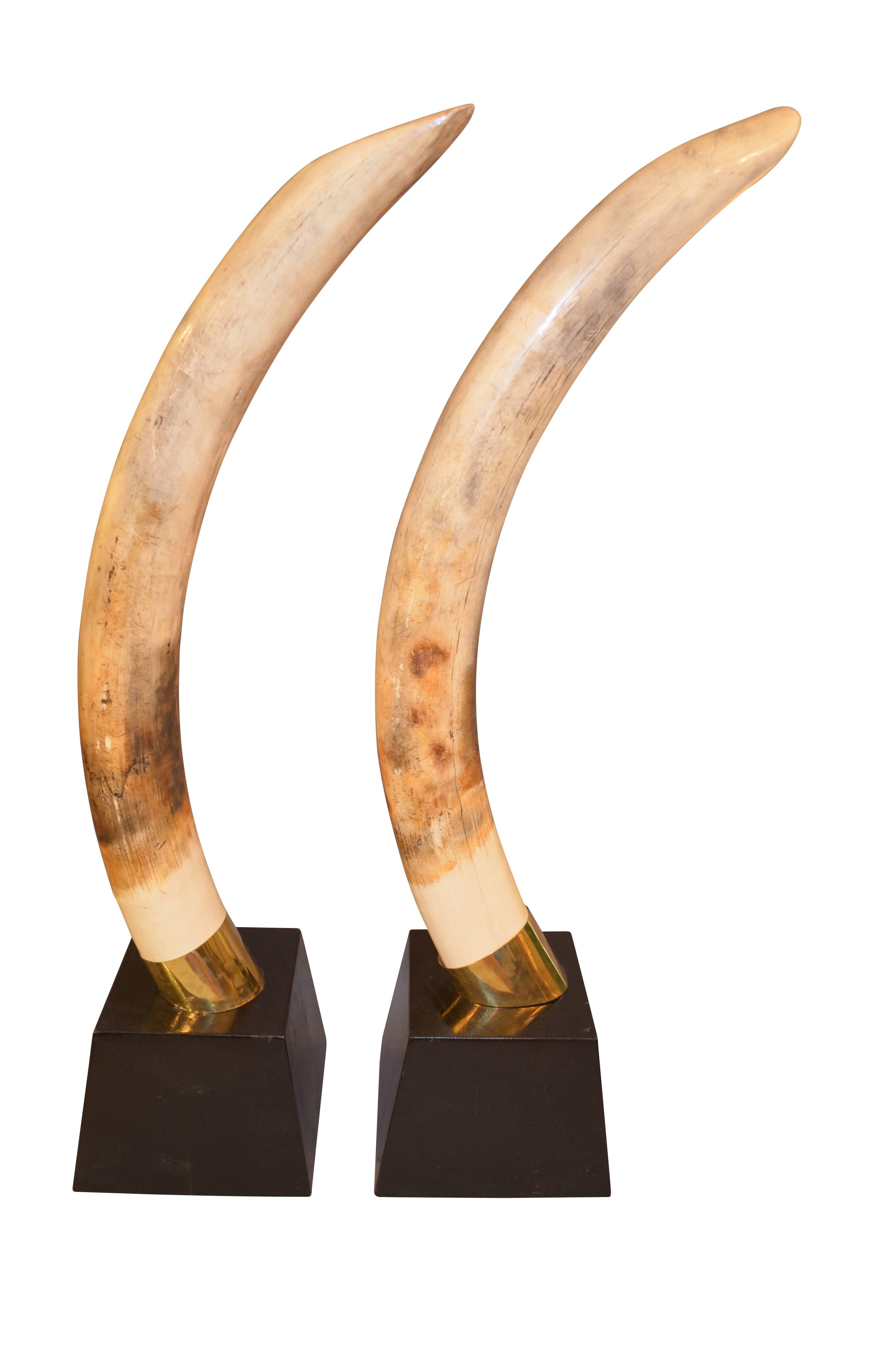 South African Pair of Faux Resin Elephant Tusks on Ebonized Bases For Sale