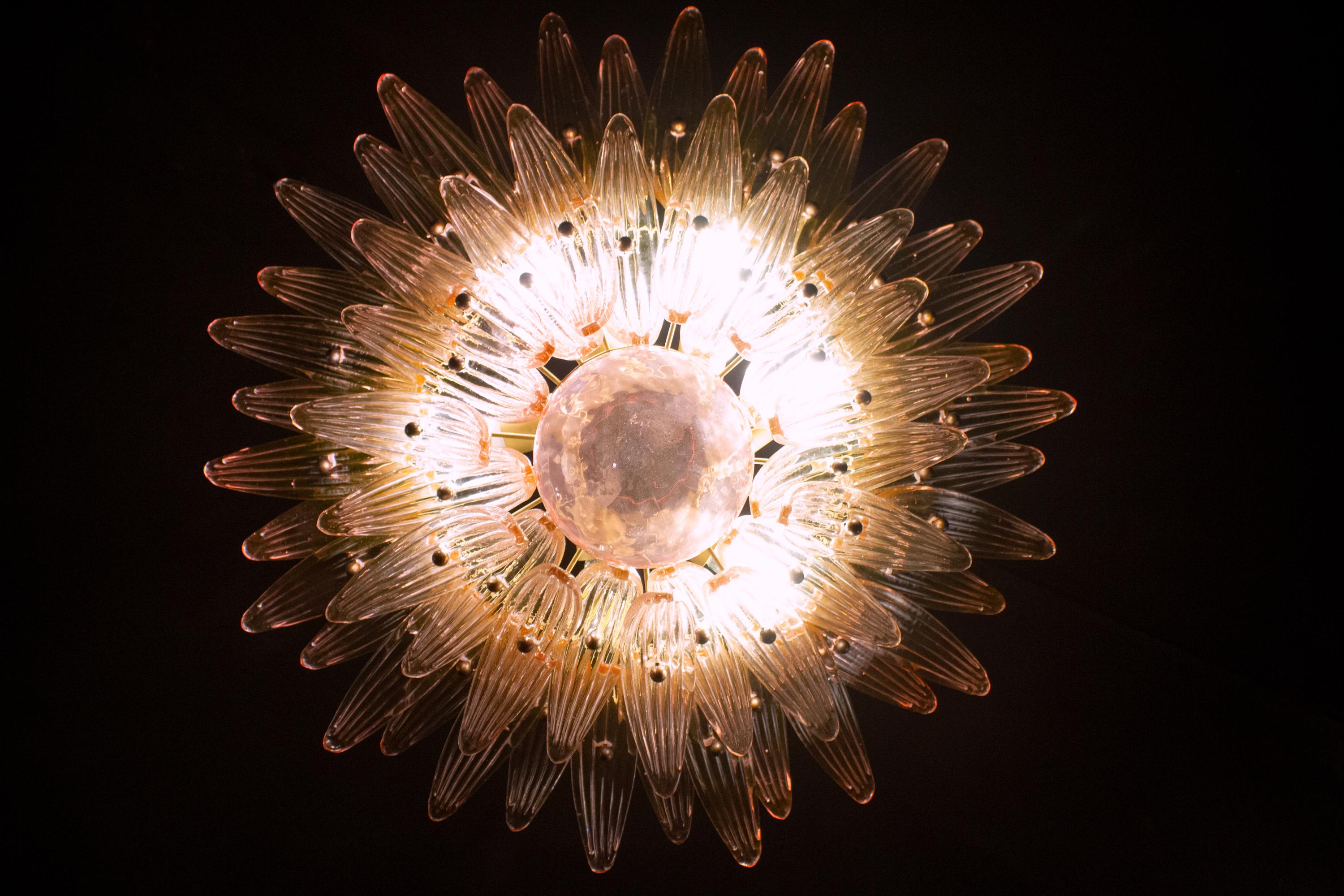 20th Century Fantastic Pink Murano Palmette Chandelier For Sale