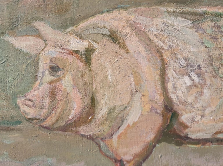 Canvas Fantastic Potbelly Pig Oil Painting For Sale