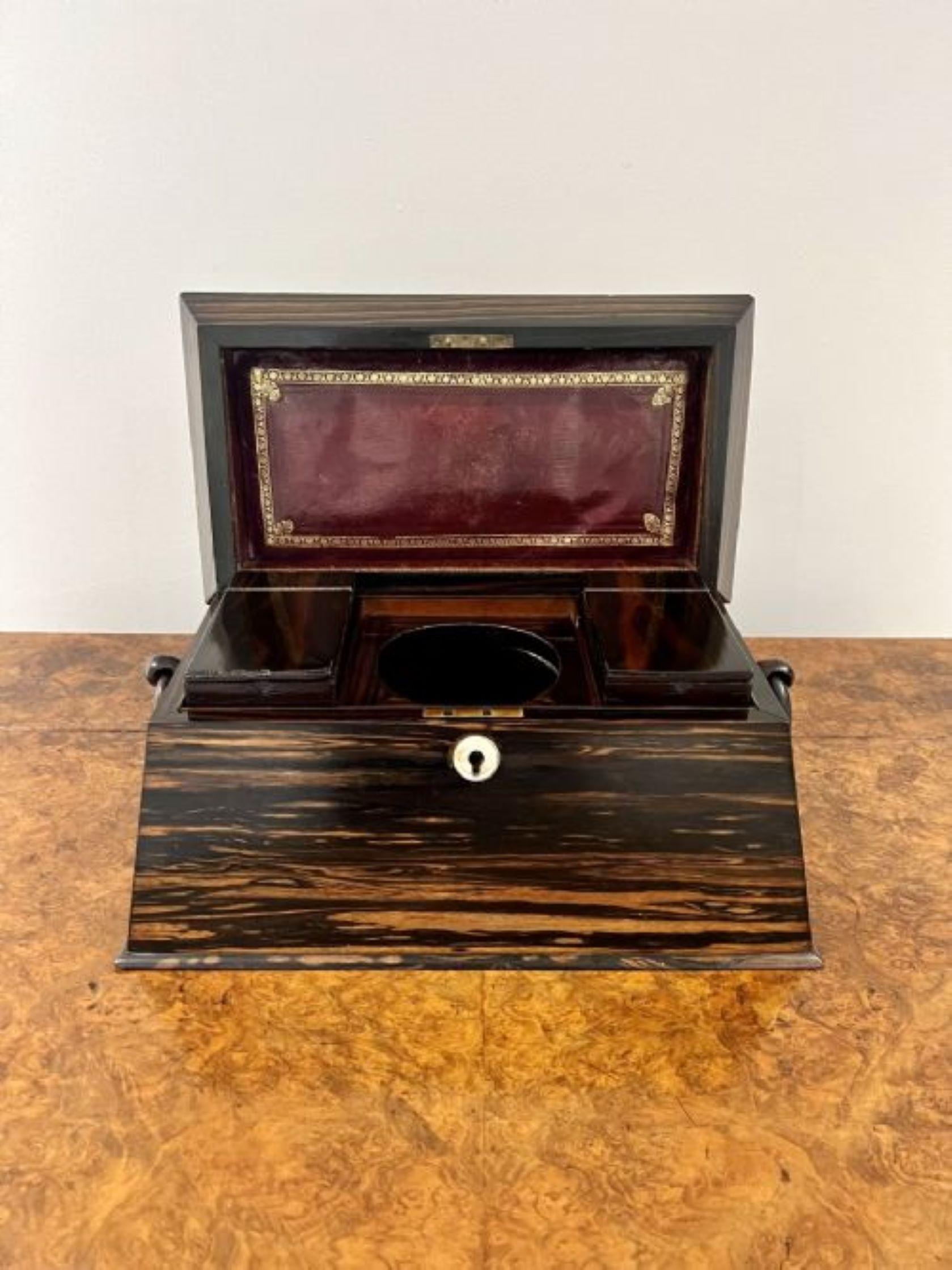 Fantastic quality antique regency coromandel wood tea caddy having a quality coromandel wood tea caddy with ringlet carrying handles to both sides and a lift up top opening to reveal pair of tea caddies.

D. 1830
