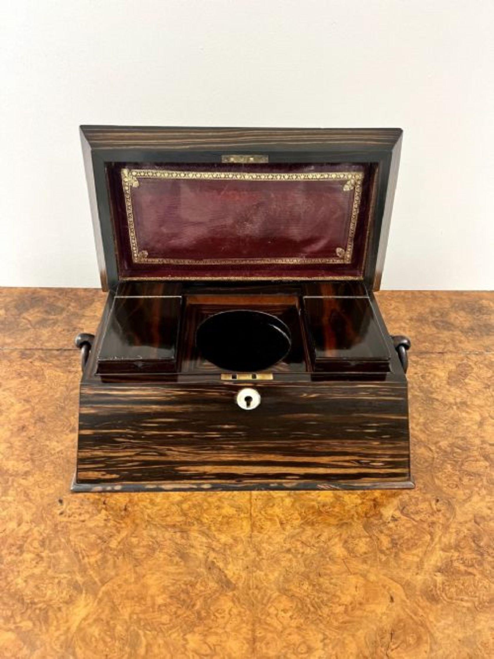 19th Century Fantastic quality antique regency coromandel wood tea caddy  For Sale