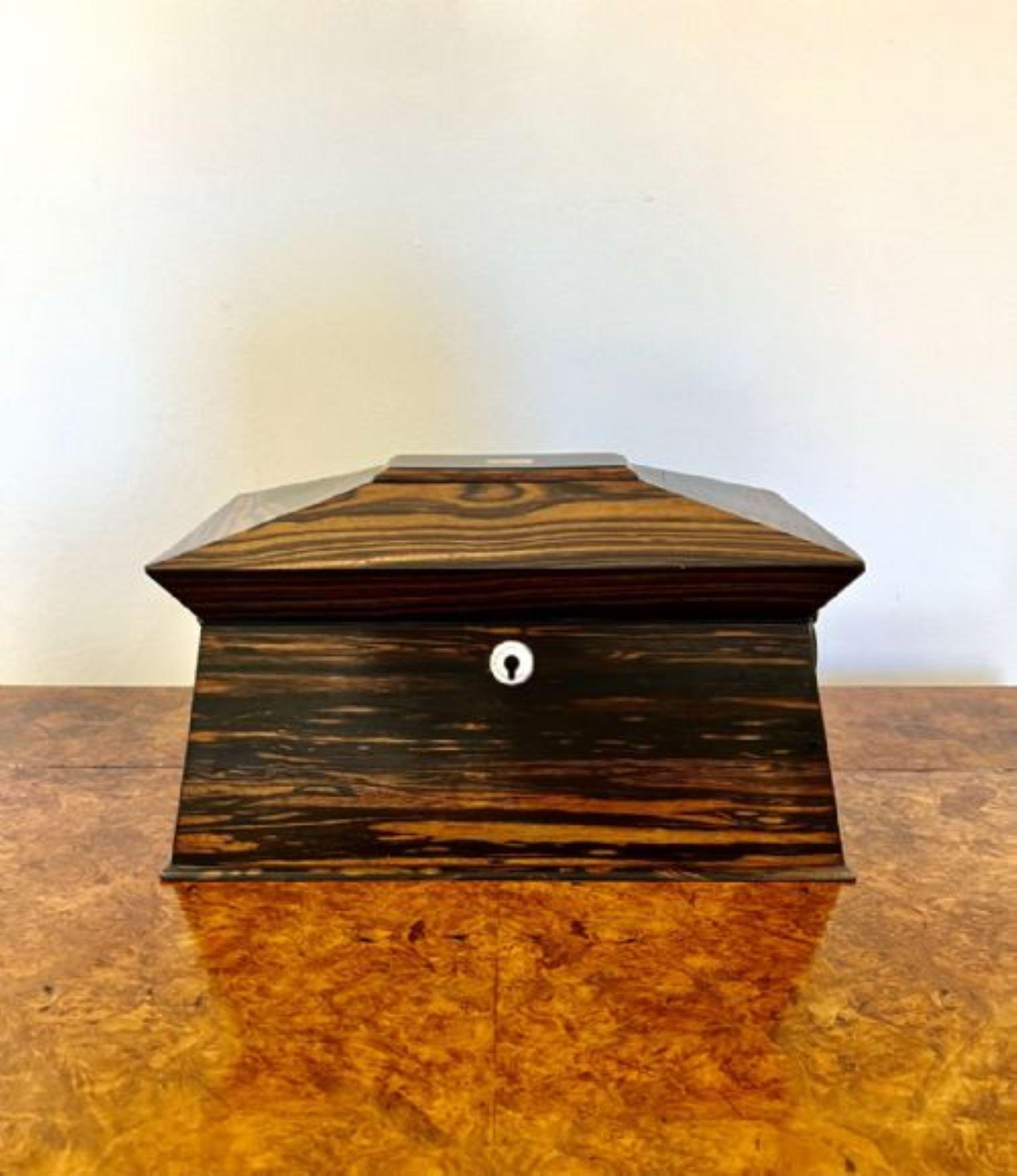 Wood Fantastic quality antique regency coromandel wood tea caddy  For Sale