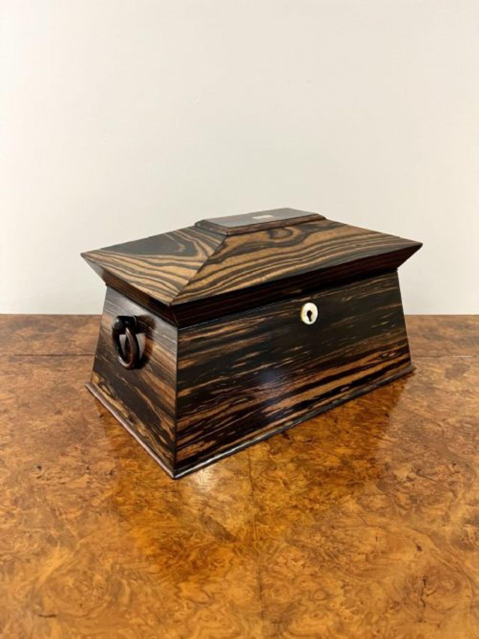 Fantastic quality antique regency coromandel wood tea caddy  For Sale 1