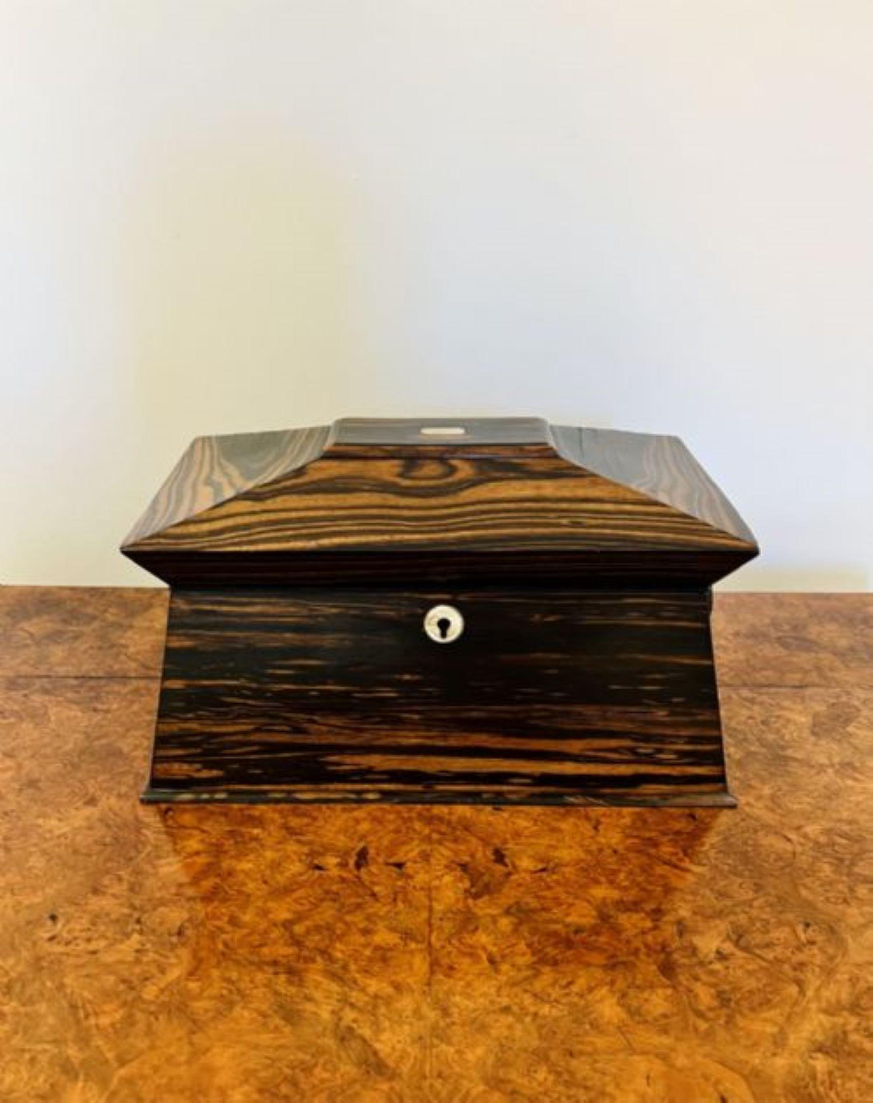 Fantastic quality antique regency coromandel wood tea caddy  For Sale 2