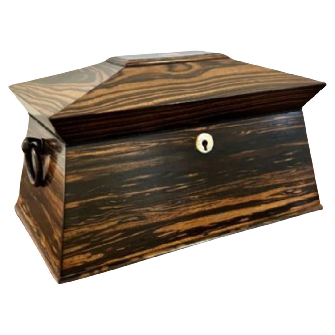 Fantastic quality antique regency coromandel wood tea caddy  For Sale