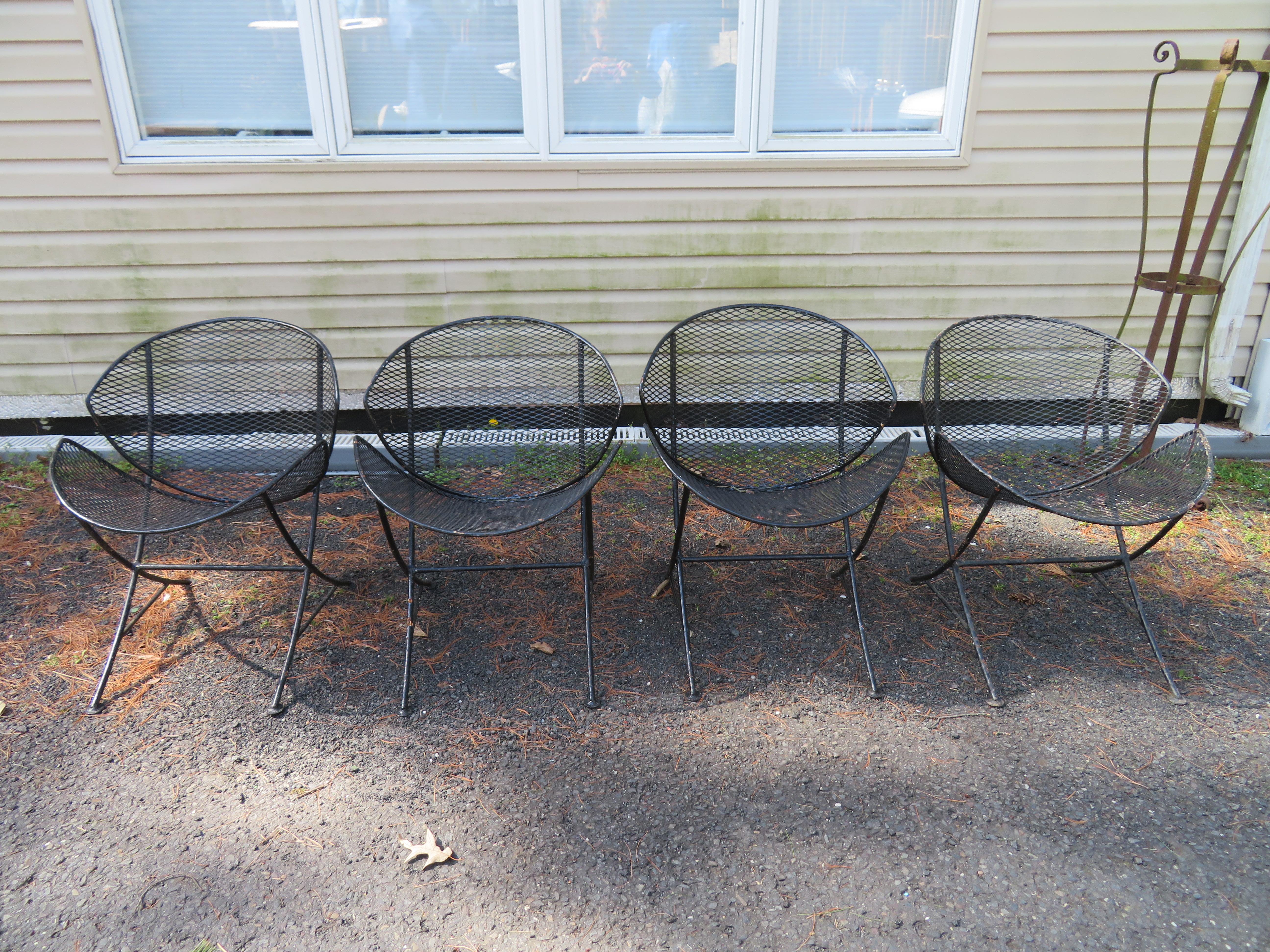 Fantastique ensemble de 4 chaises de patio en fer coquillage Maurizio Tempestini pour Salterini Clam en vente 5