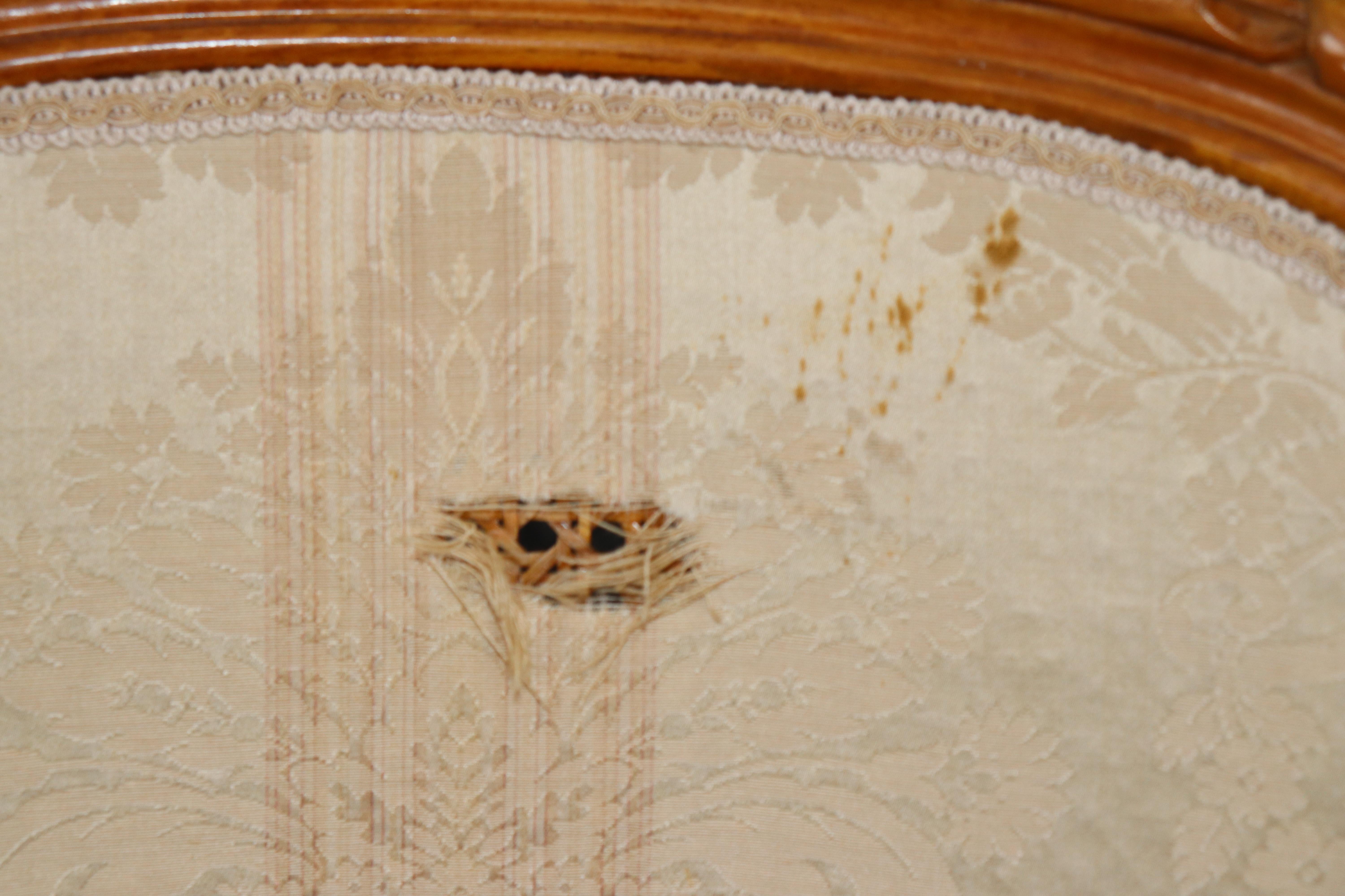 Fantastic set of 10 French Louis XVI Cane Damask Upholstered Dinng Chairs im Angebot 12