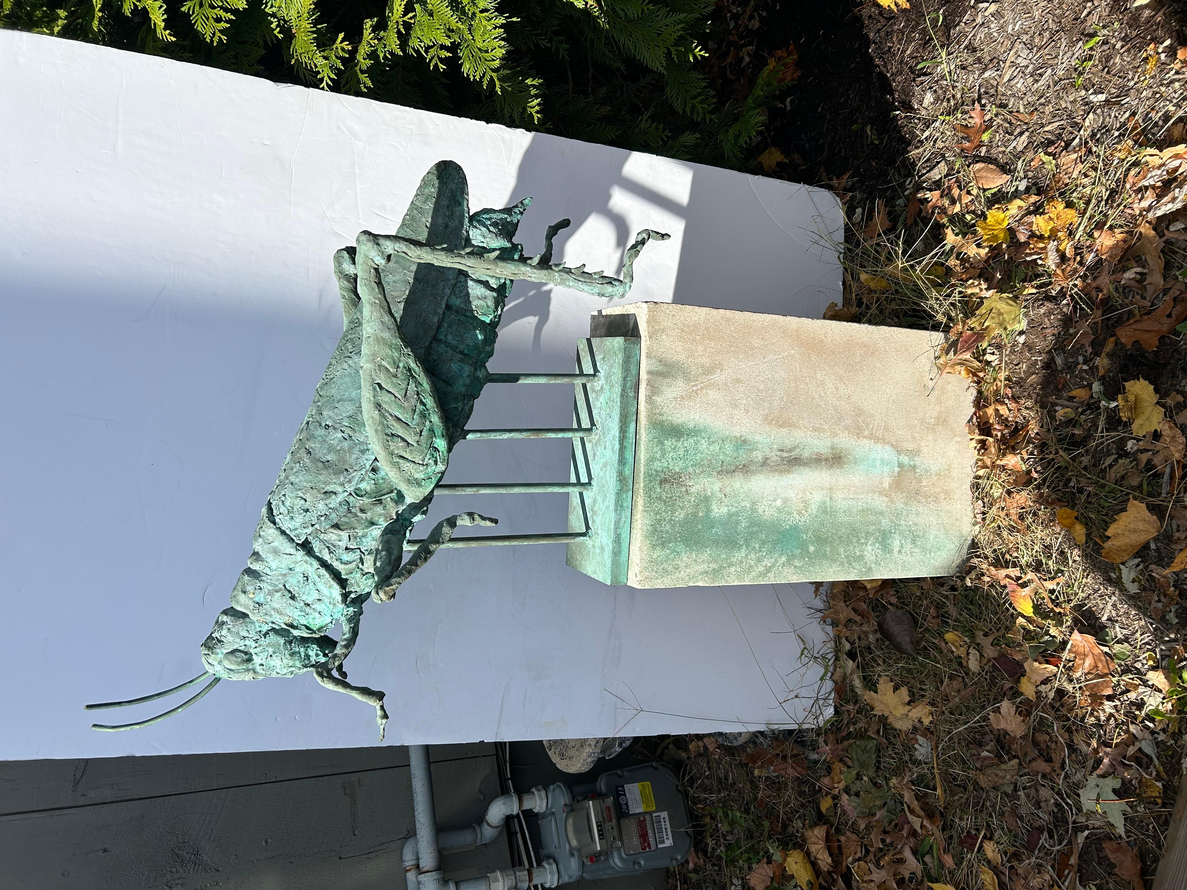 Fantastische Grashüpfer-Skulptur aus Verdigris-Bronze für den Innenbereich oder den Garten im Angebot 4