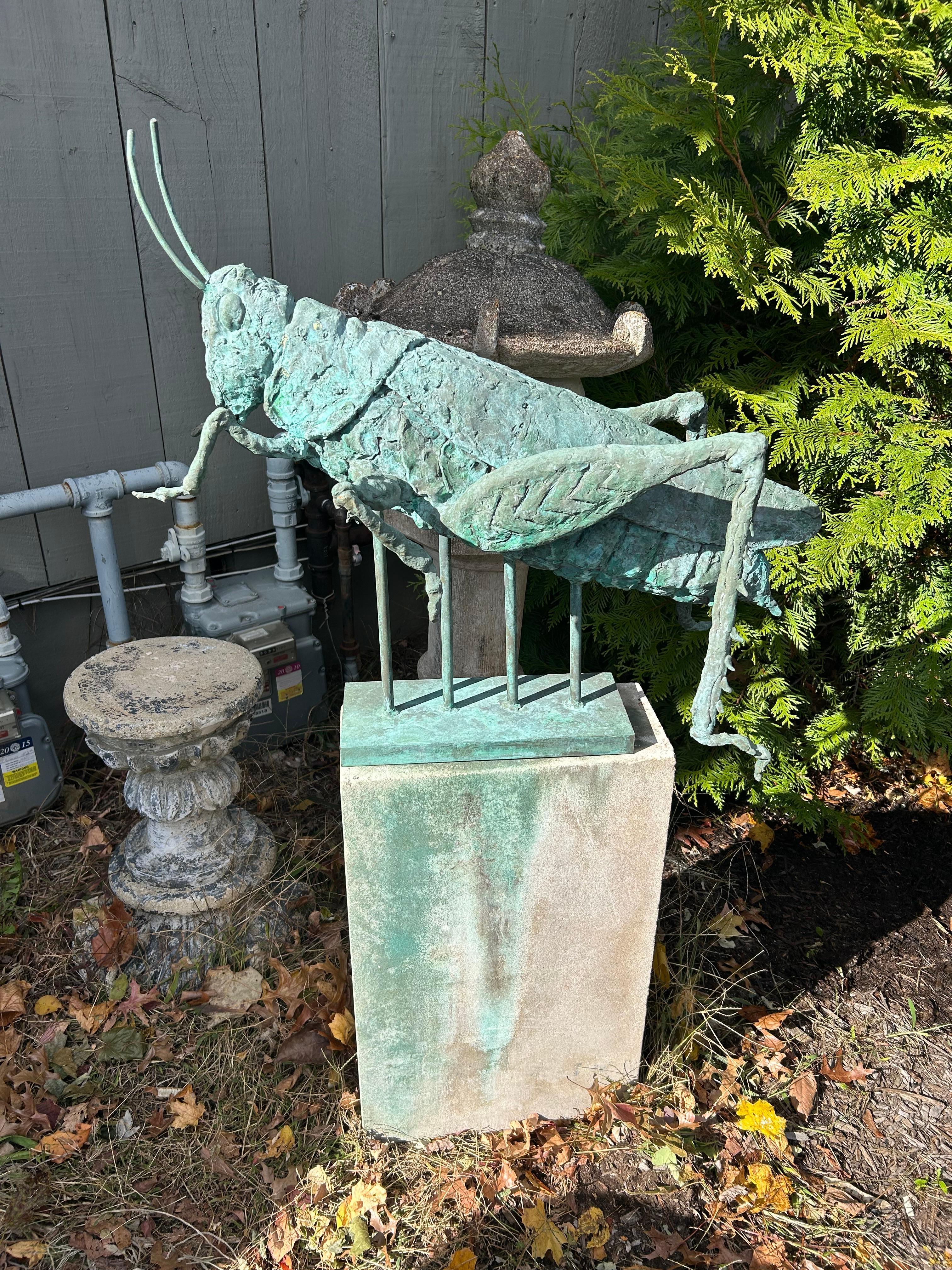 Fantastische Grashüpfer-Skulptur aus Verdigris-Bronze für den Innenbereich oder den Garten im Angebot 5