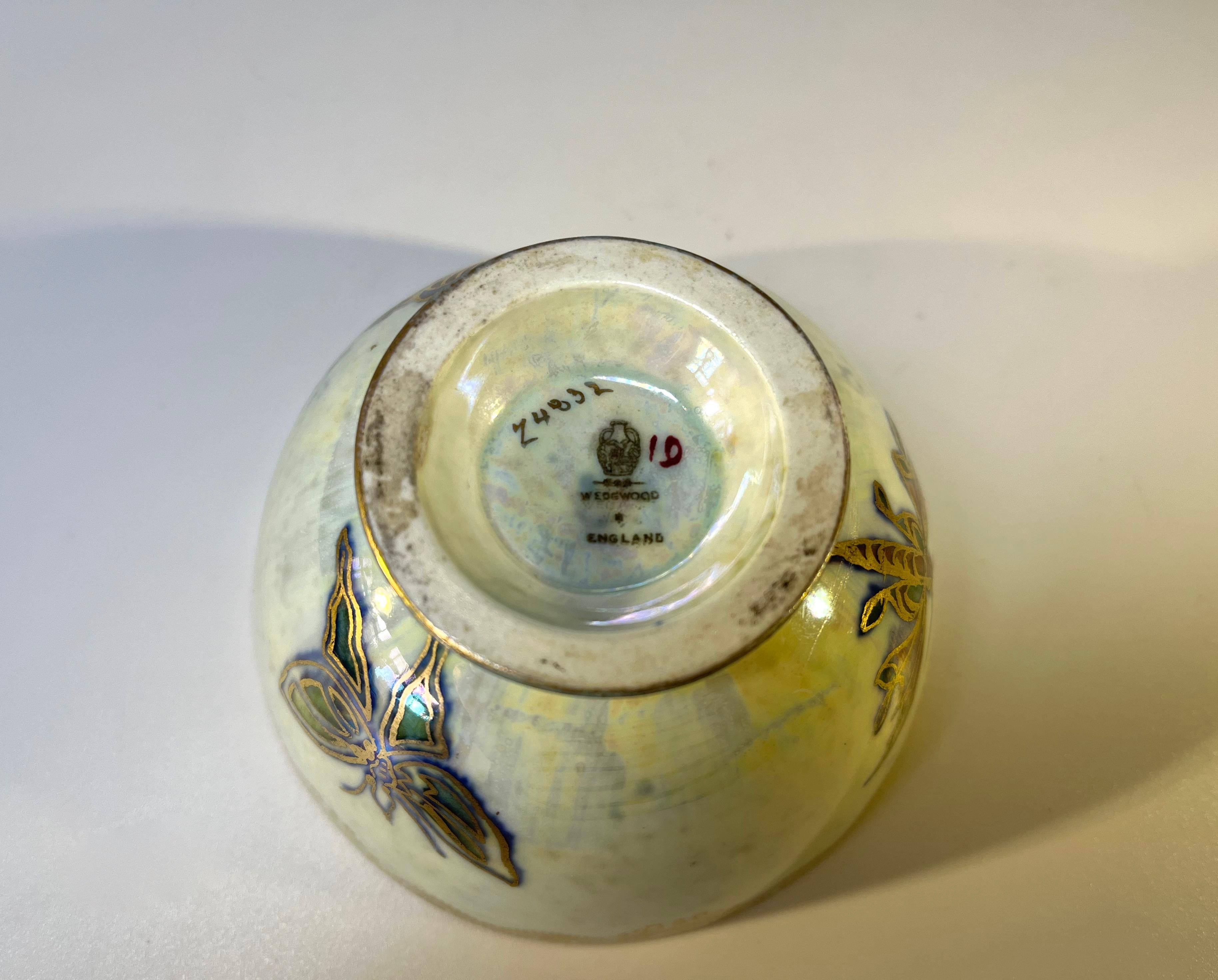 20th Century Fantasy Moth, Wedgwood Ordinary Lustre Butterfly York Cup By Daisy Makeig-Jones