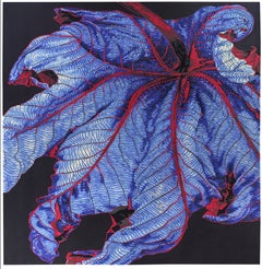 Fantasy of Nature 320x320 Monumental 3D Sculpted Wool Rug Alexander's Collection