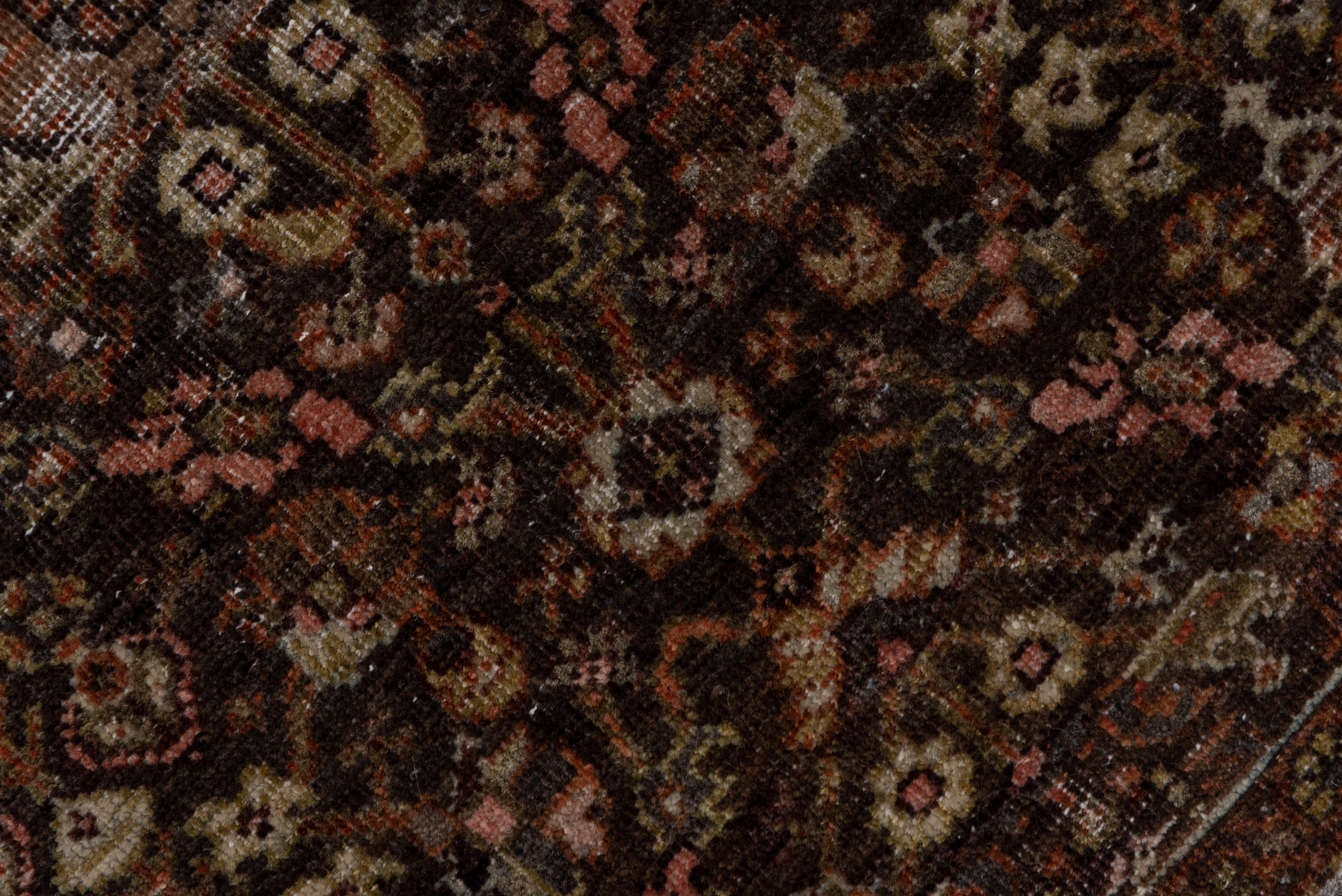 Wool  Far Sarouk Royal Brown Rug  For Sale