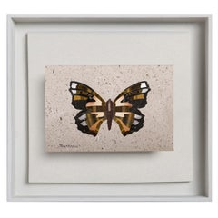 Farfalla Rinascimento Mosaic Tableau