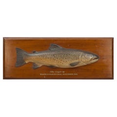 Farlow 1904 Brown Trout Trophy Model