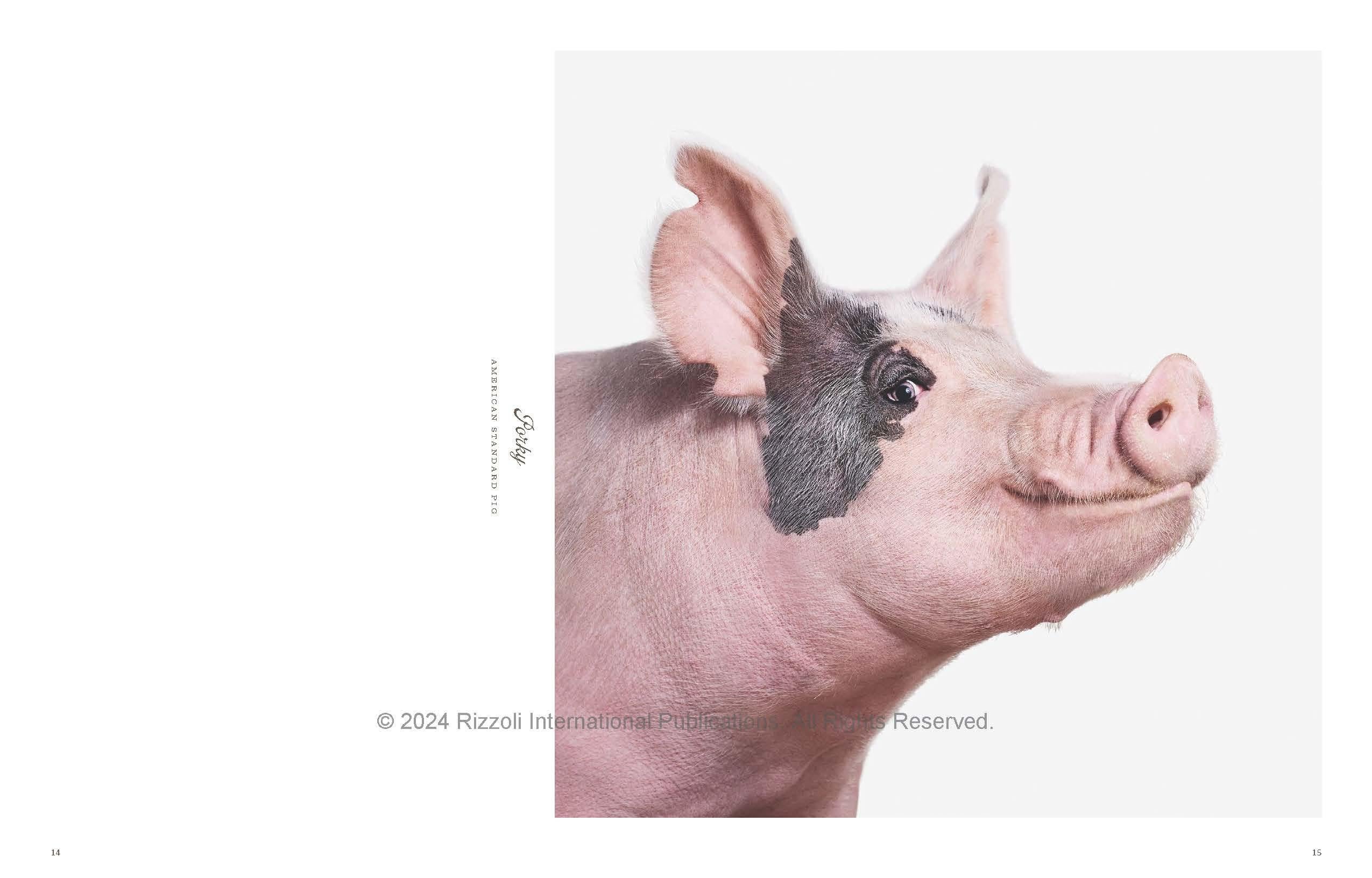 Farm Life: A Collection of Animal Portraits In New Condition For Sale In New York, NY