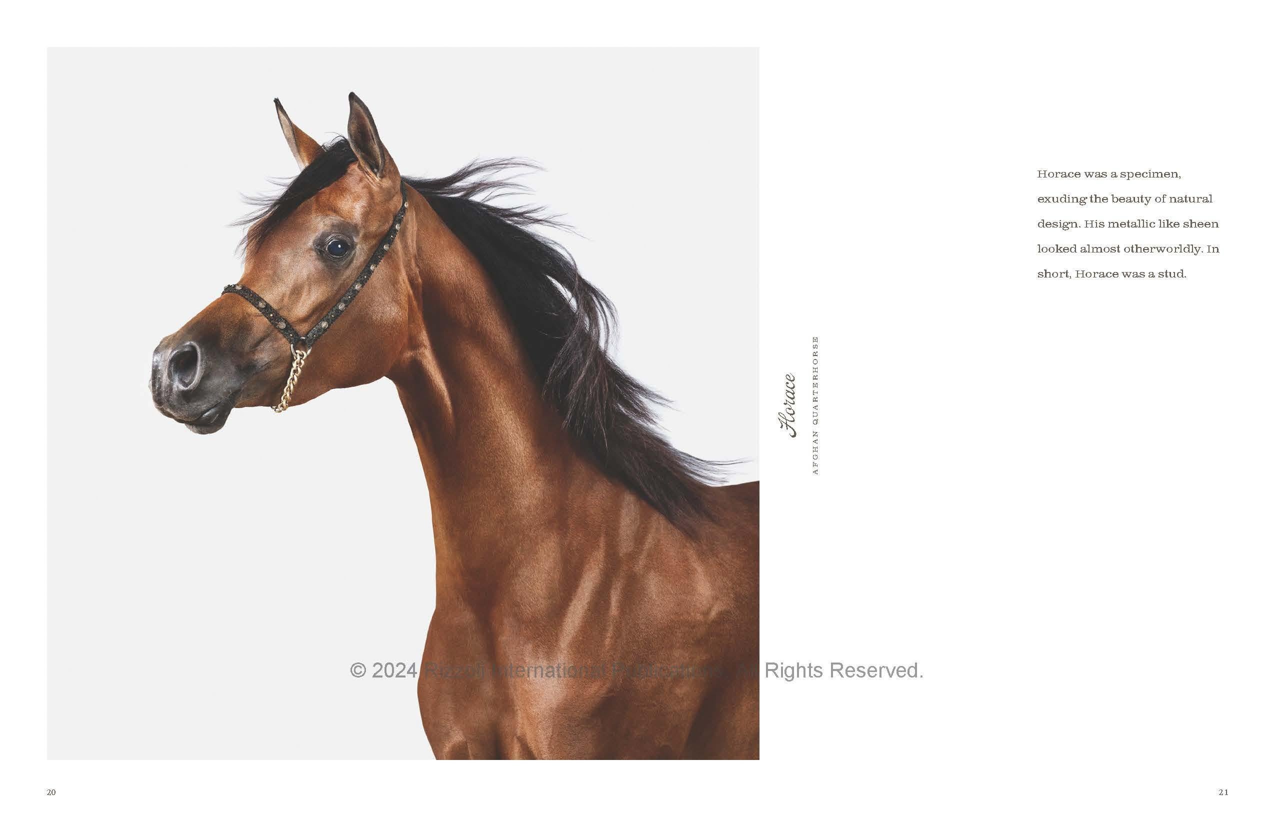 Paper Farm Life: A Collection of Animal Portraits For Sale