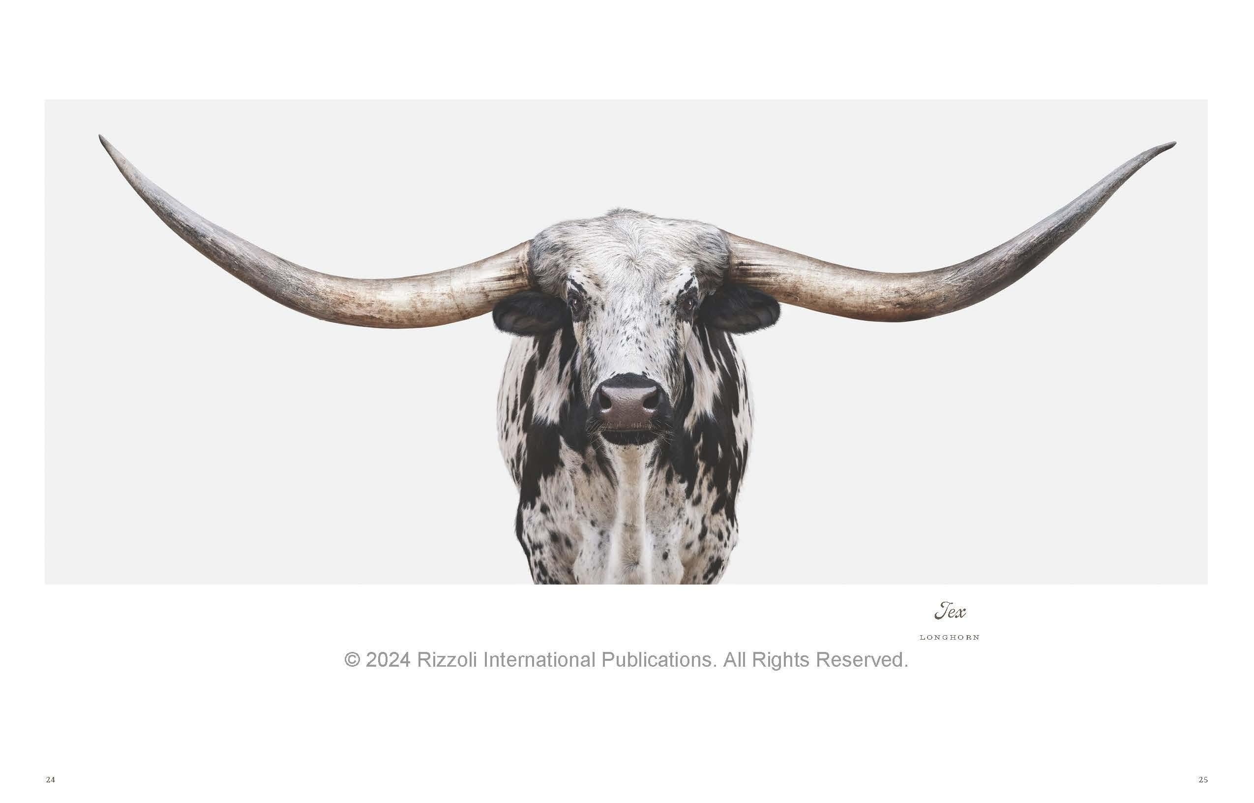 Farm Life: A Collection of Animal Portraits For Sale 2