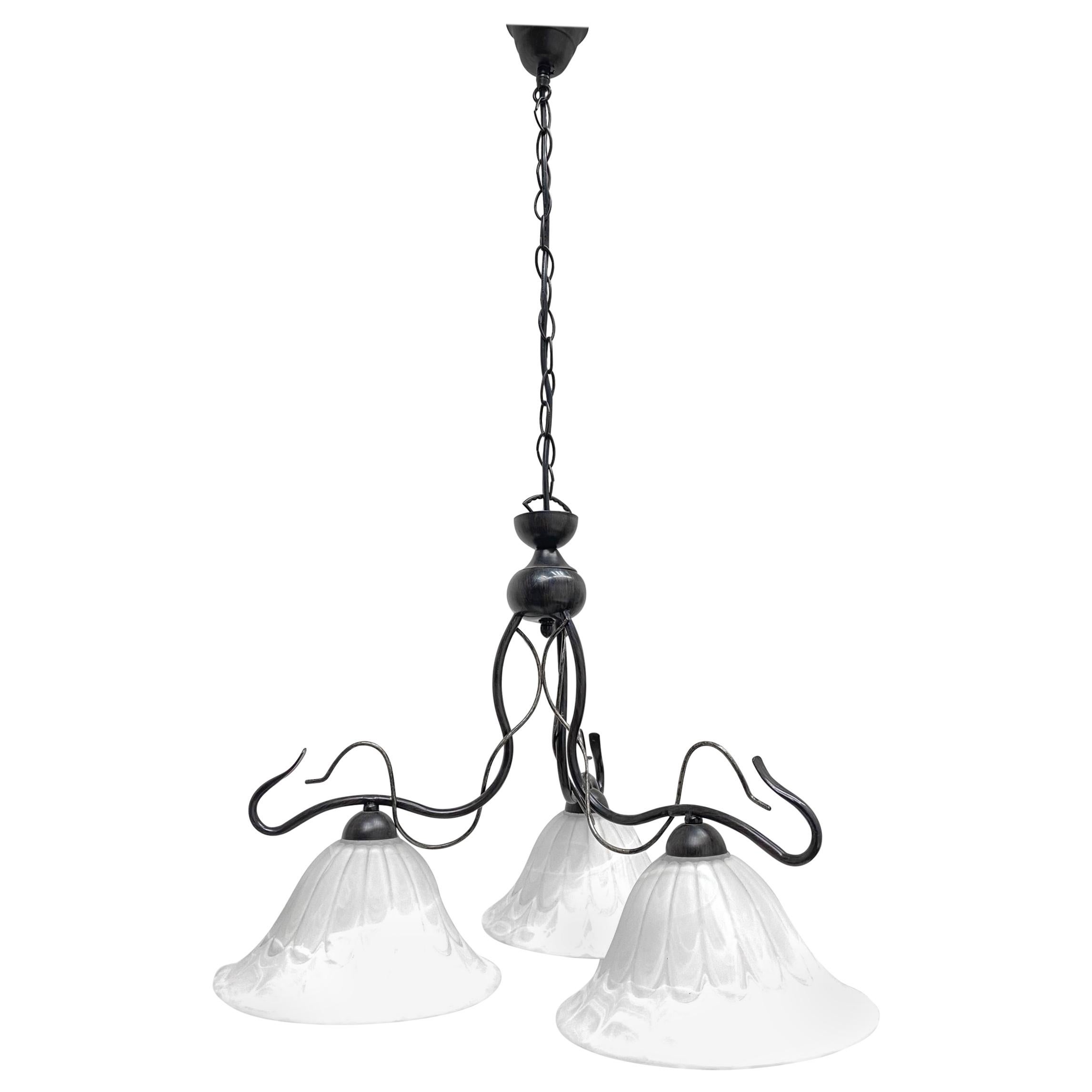 Farmhouse Style Chandelier Pendant Light Glass & Ebonized Metal, 1980s, Germany For Sale