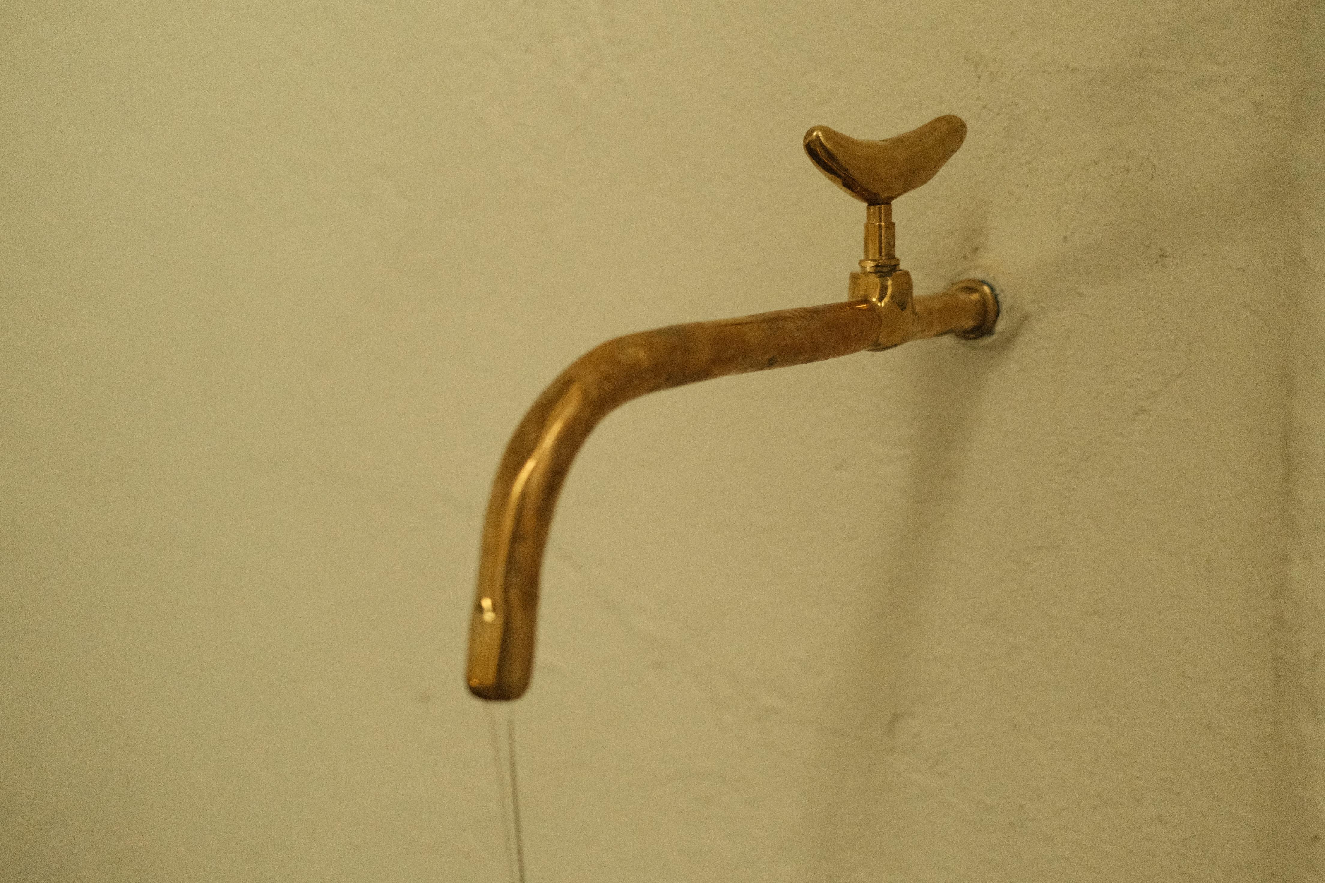 Les objets présentés dans cette Collectional s'étendent à travers différentes formes de conscience, entremêlant des couches de signification et de perception. Les différents modes d'expérience d'un objet se fondent les uns dans les autres dans