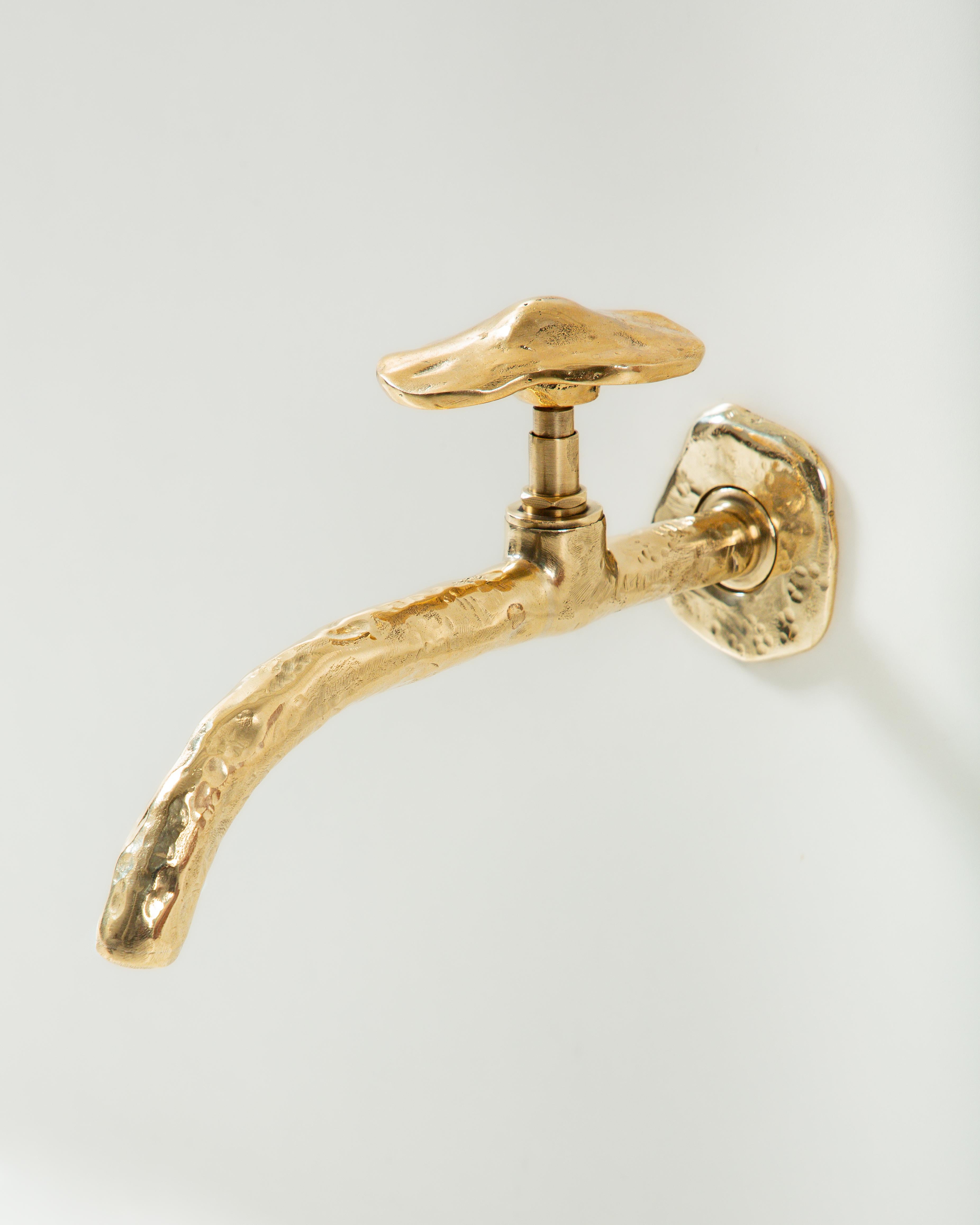 Grifo de Andrew de Freitas Brasileño en venta